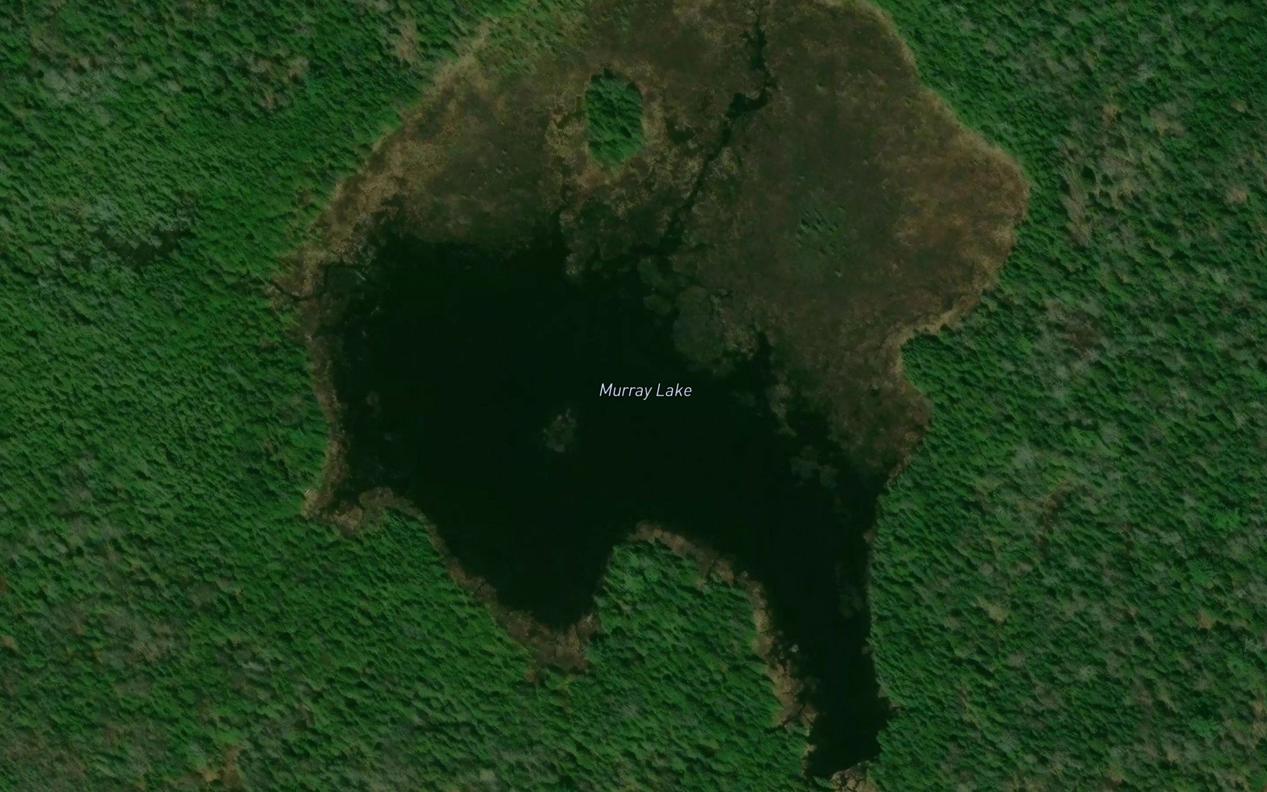Murray Lake