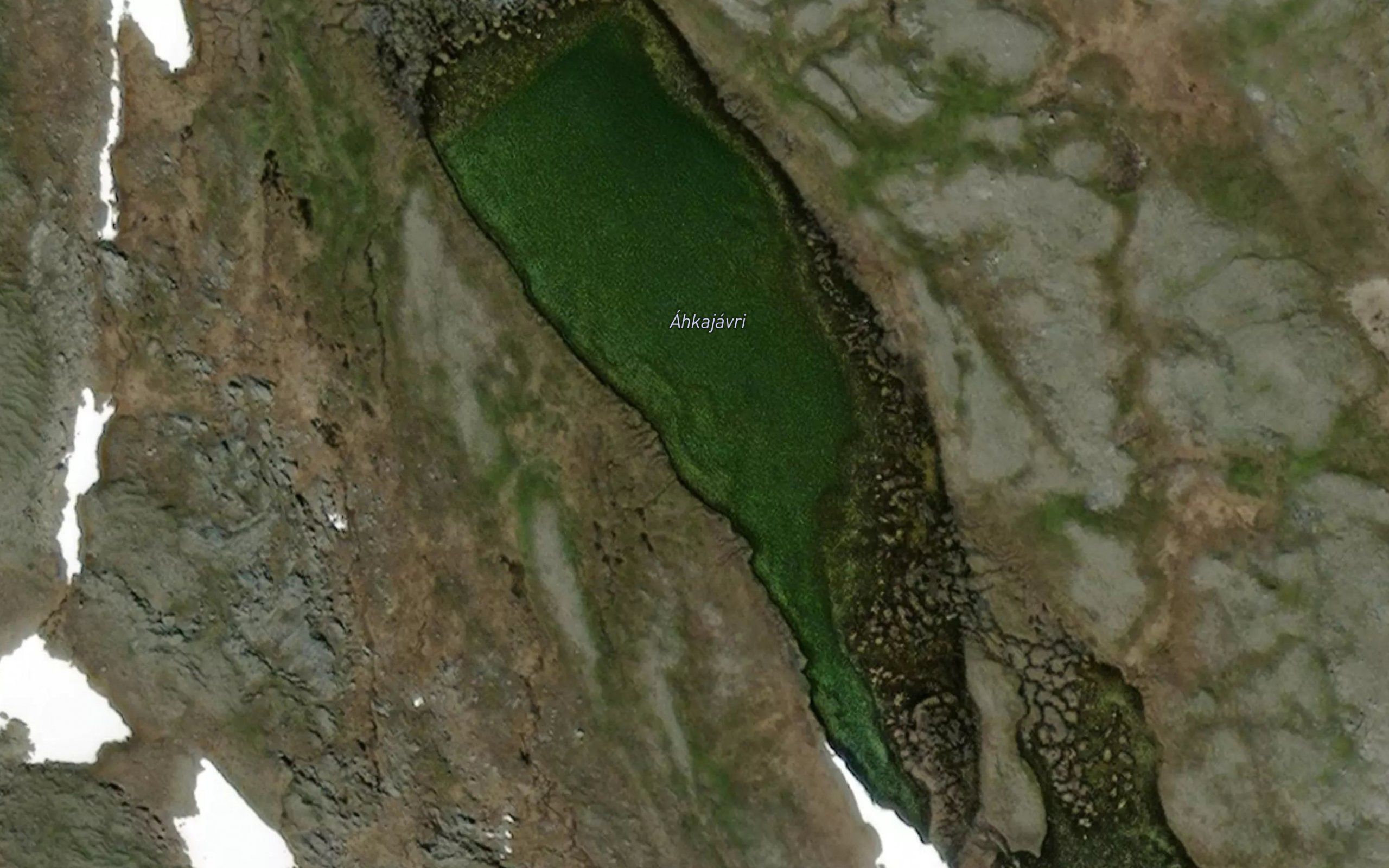 Akkajavri