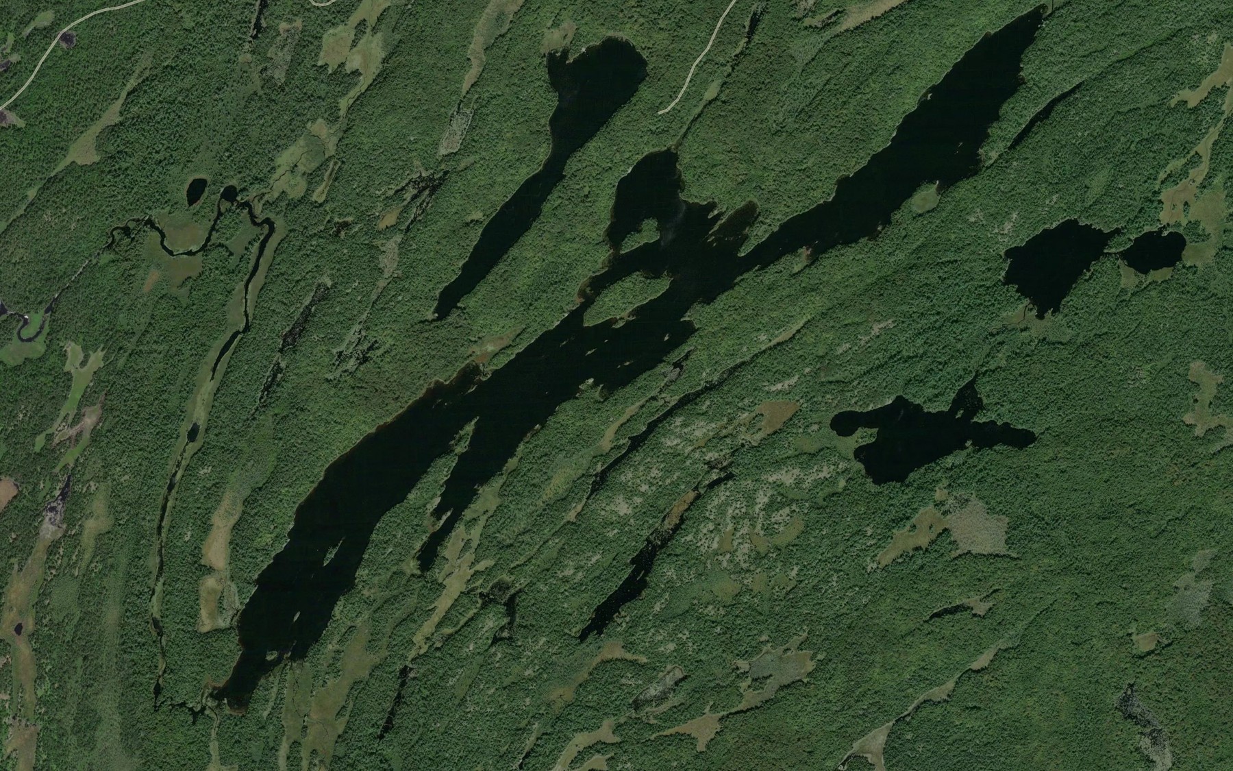 Satellite map of the Big Deer Lake