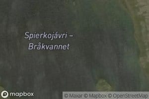 Spierkujavri