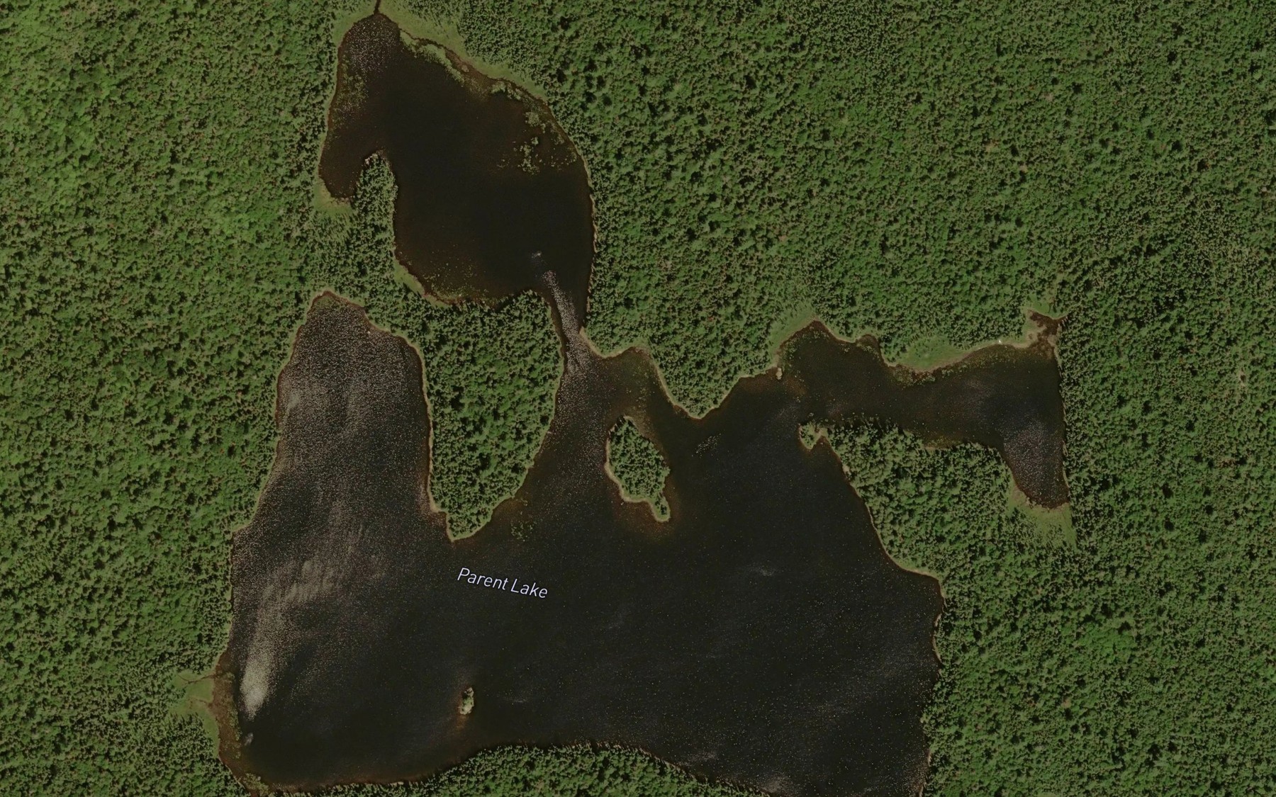Satellite map of the Parent Lake