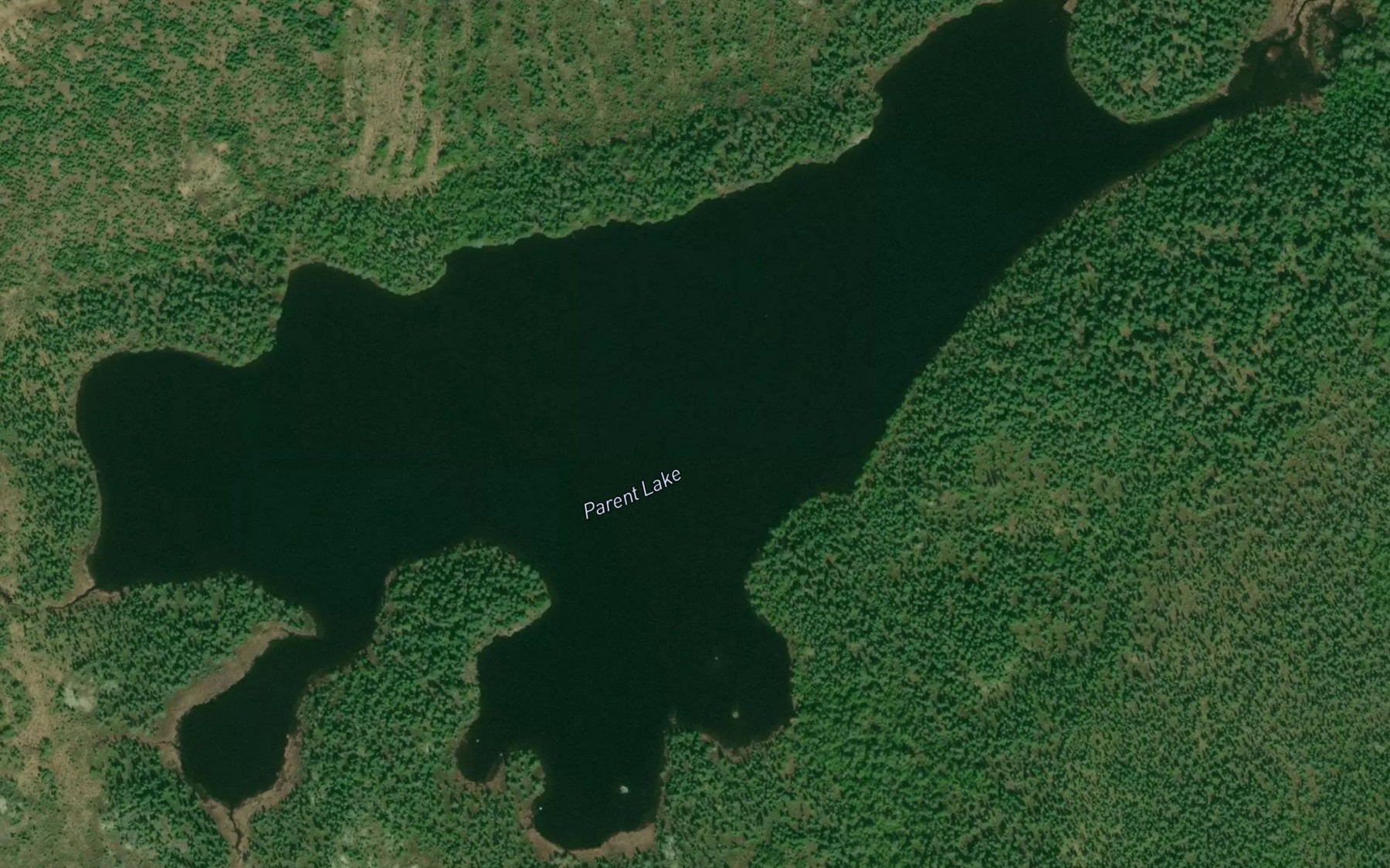 Satellite map of the Parent Lake