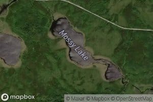 Mossy Lake