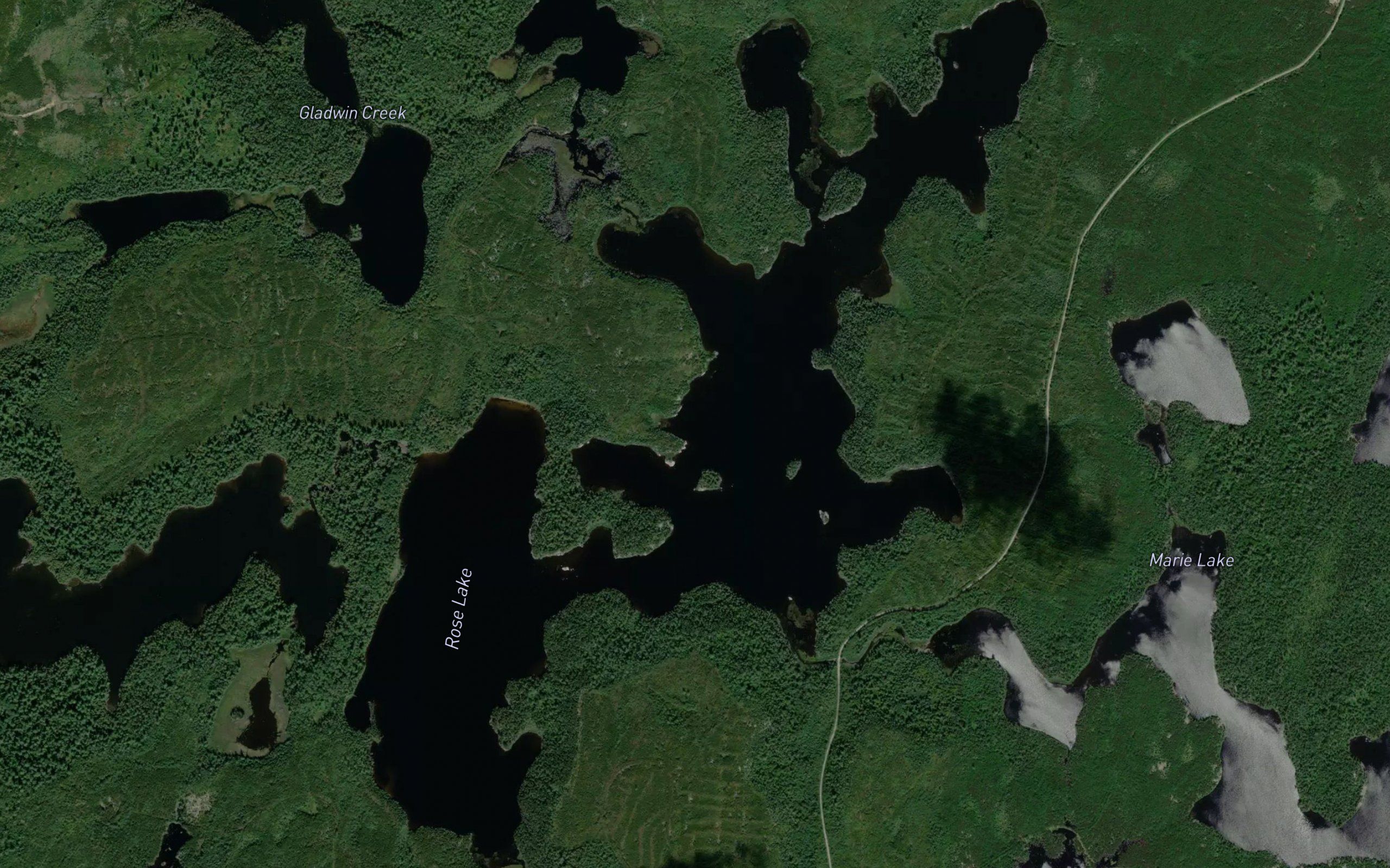 Rose Lake