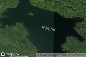 B Pond