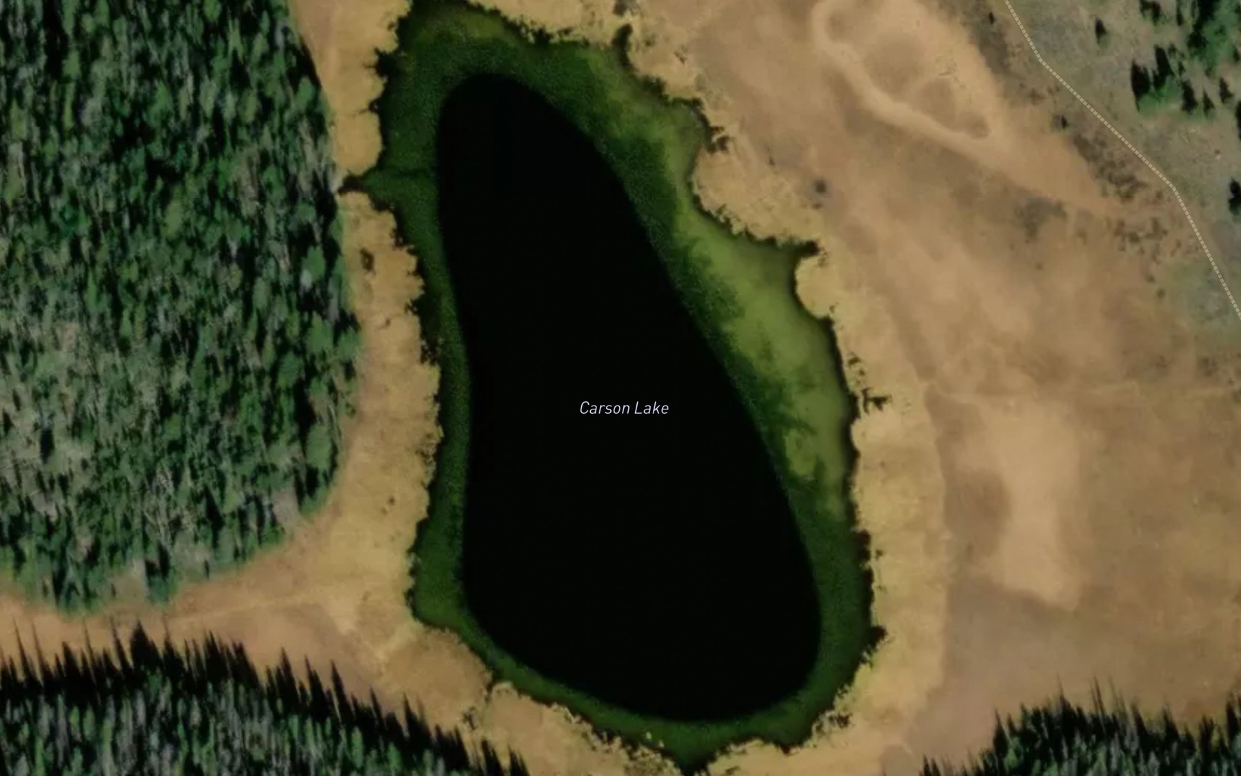 Satellite map of the Carson Lake