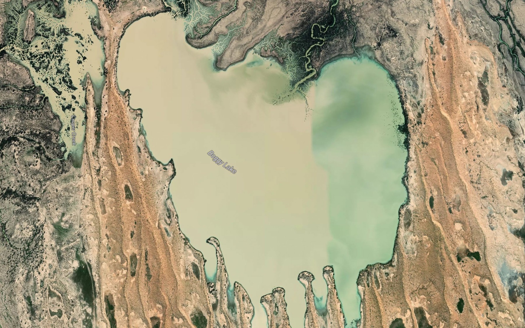 Satellite map of the Boggy Lake