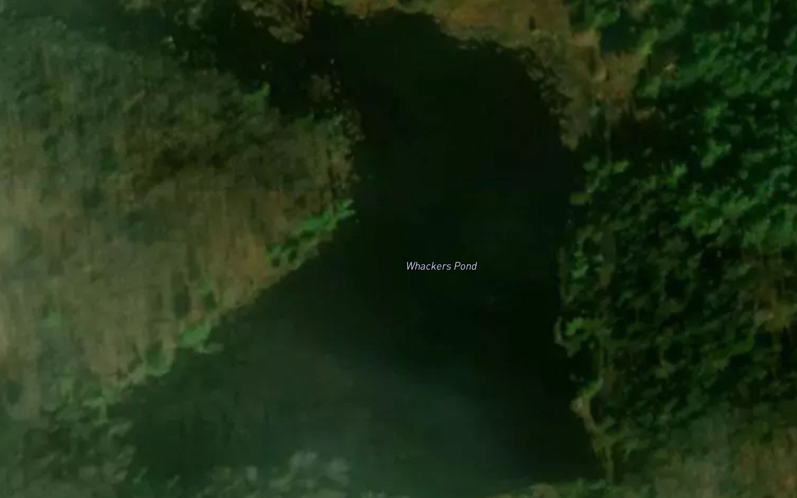 Whackers Pond