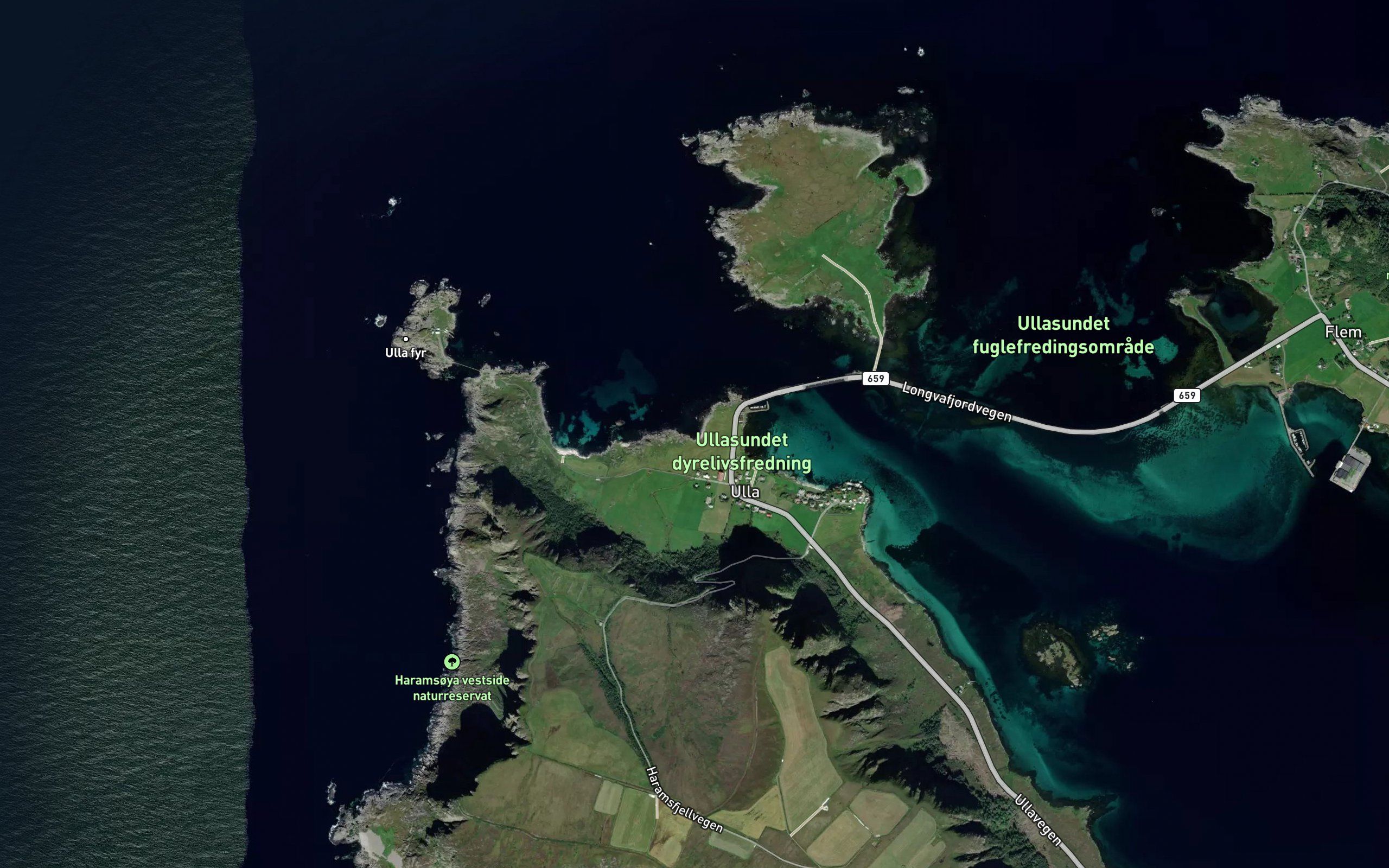 Tongvika