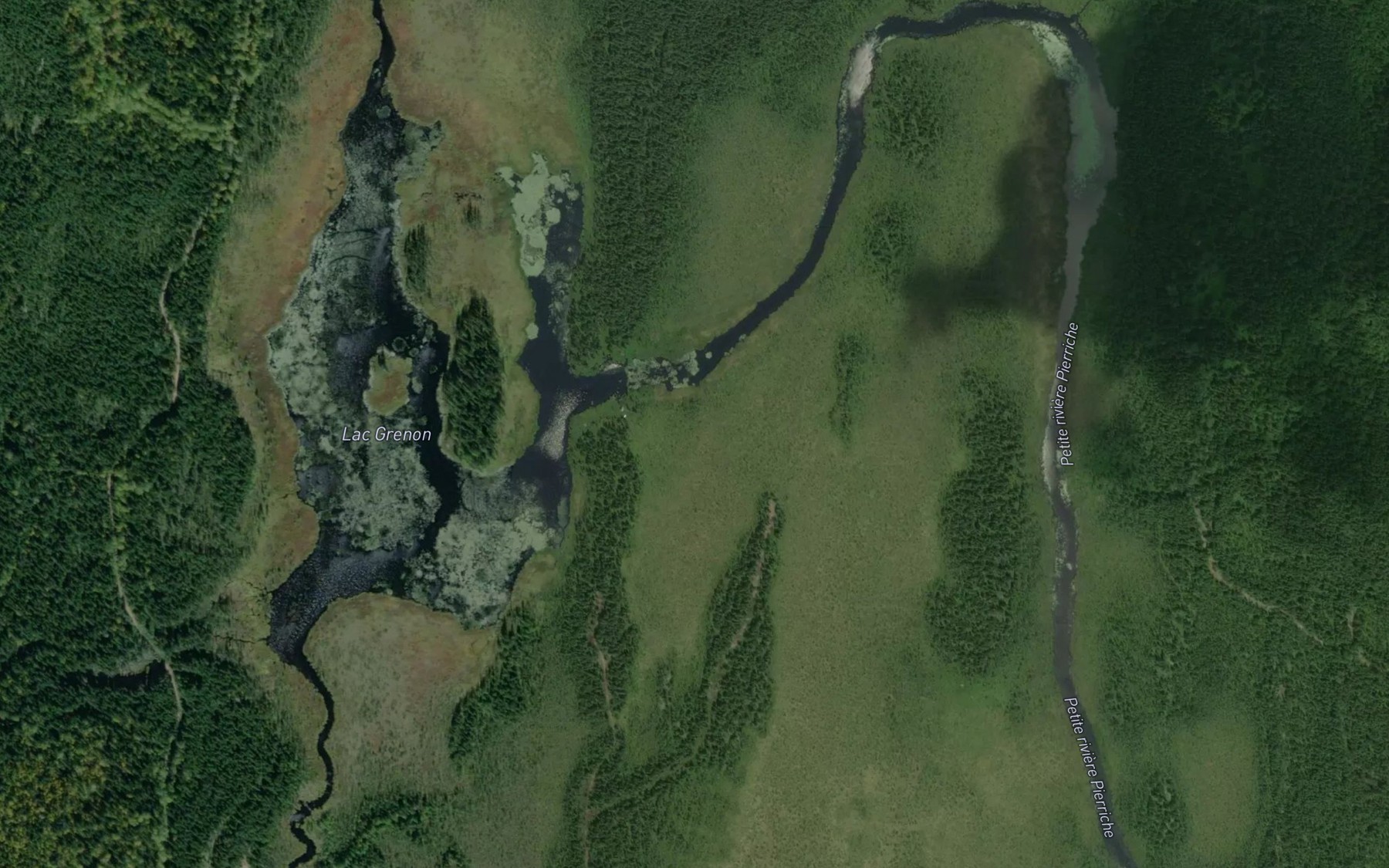 Satellite map of the Lac Grenon