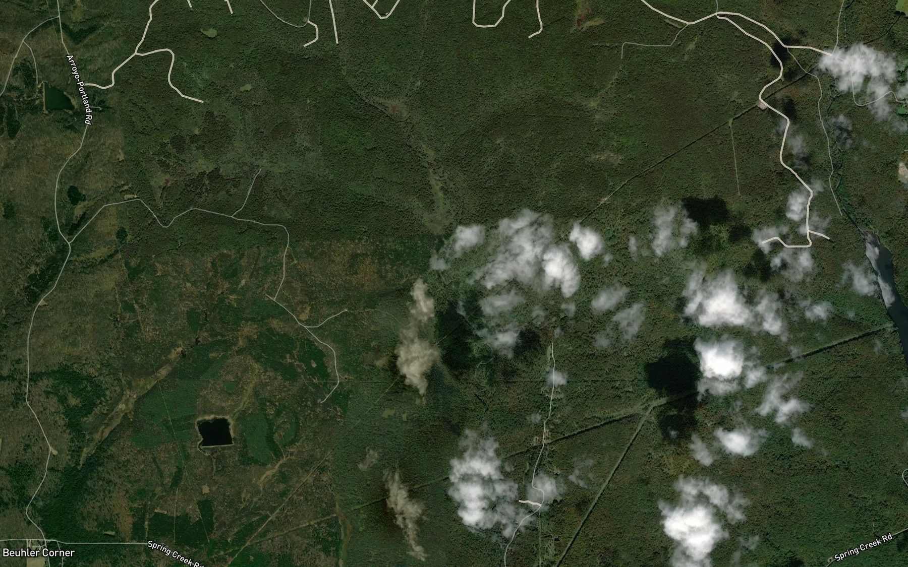 Satellite map of the Shanty Run