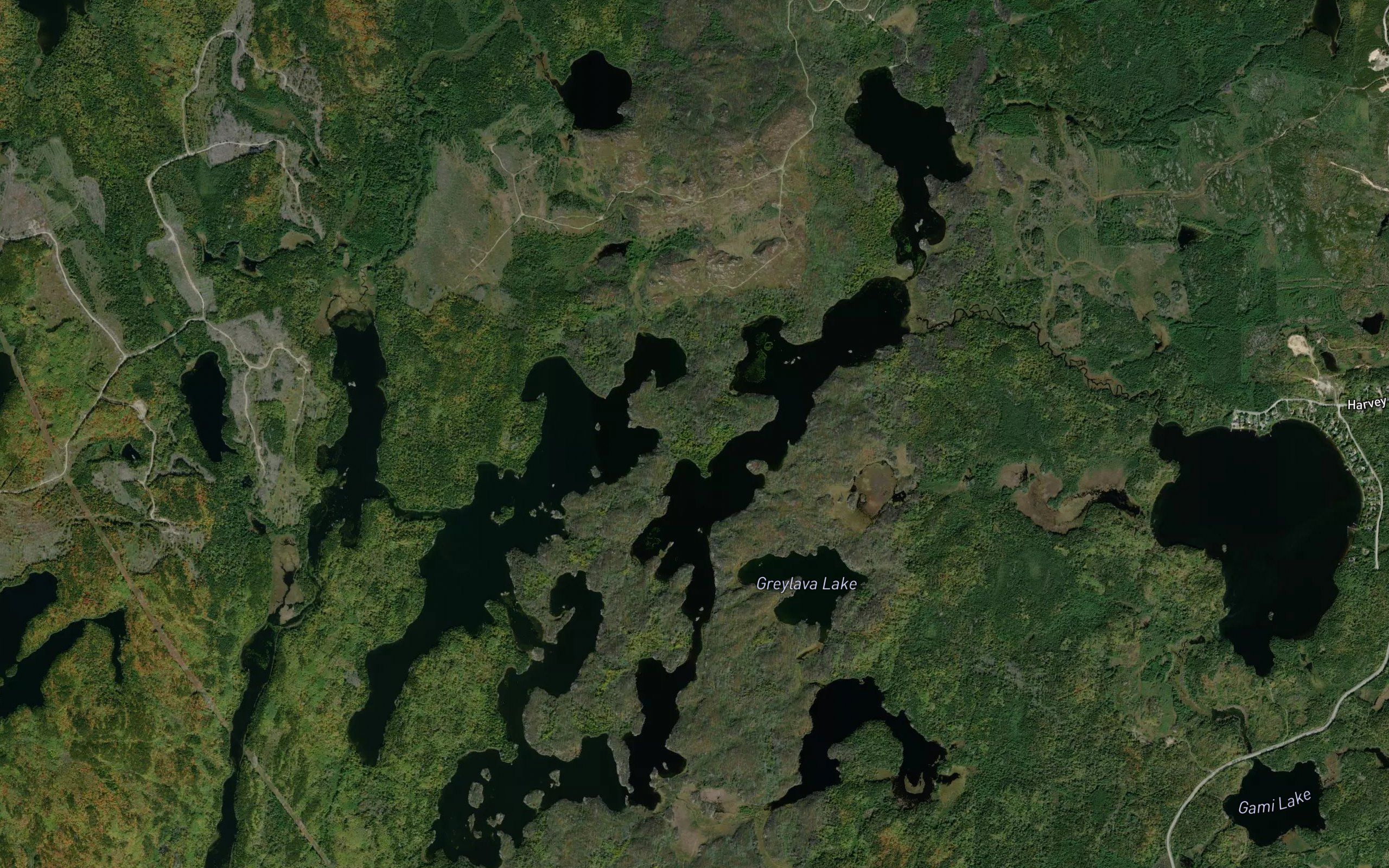 Northeast Arm