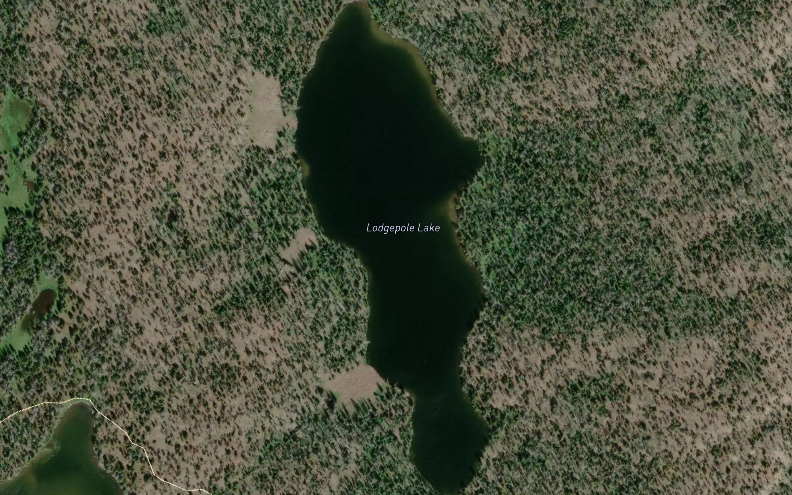 Lodgepole Lake