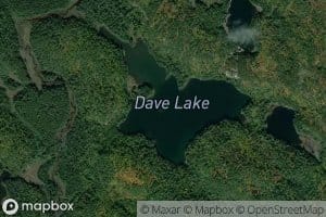 Dave Lake