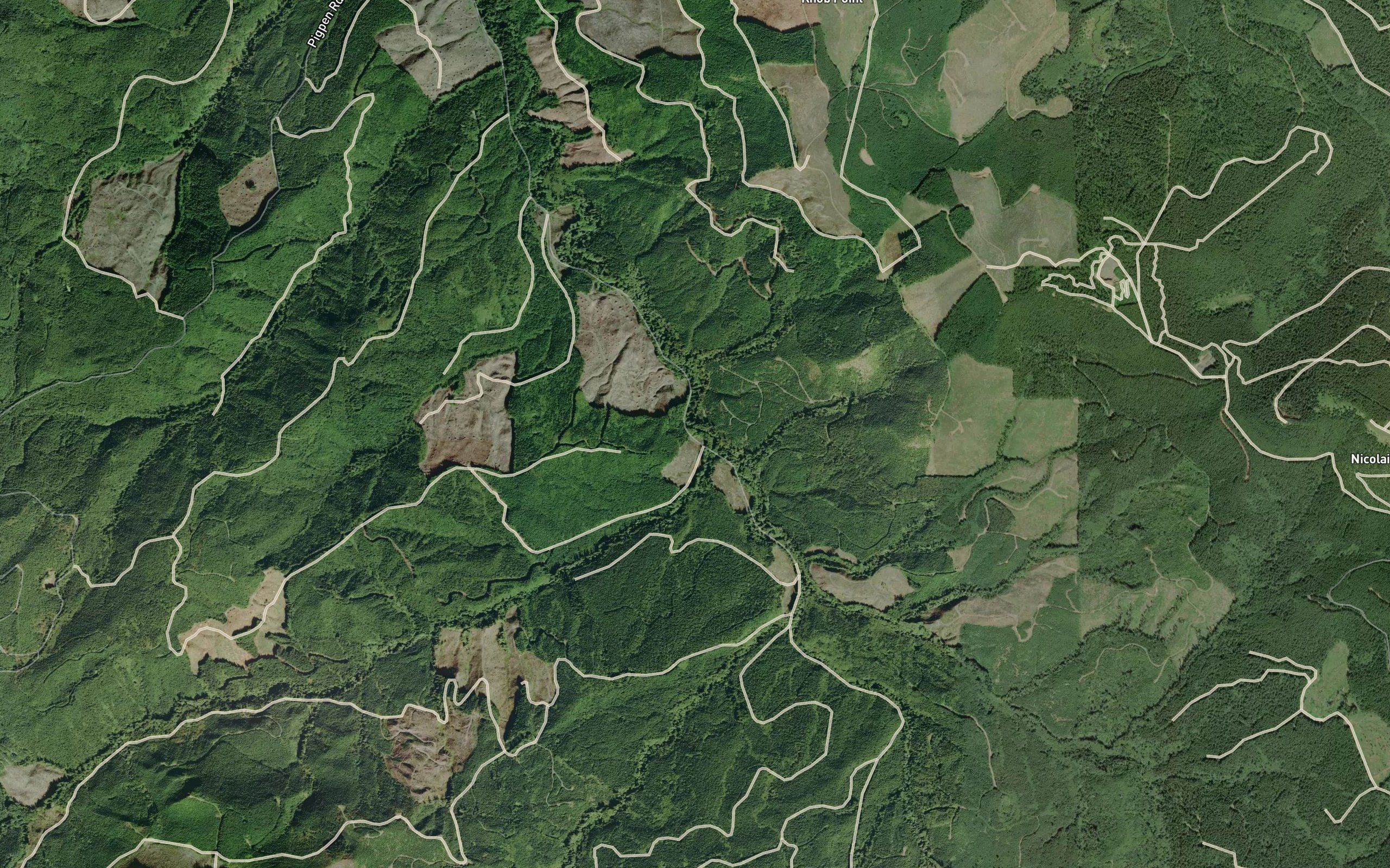 Coon Creek
