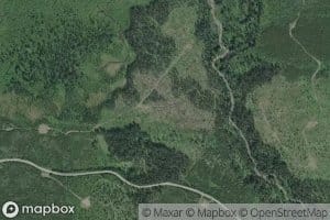 Molybdenite Creek