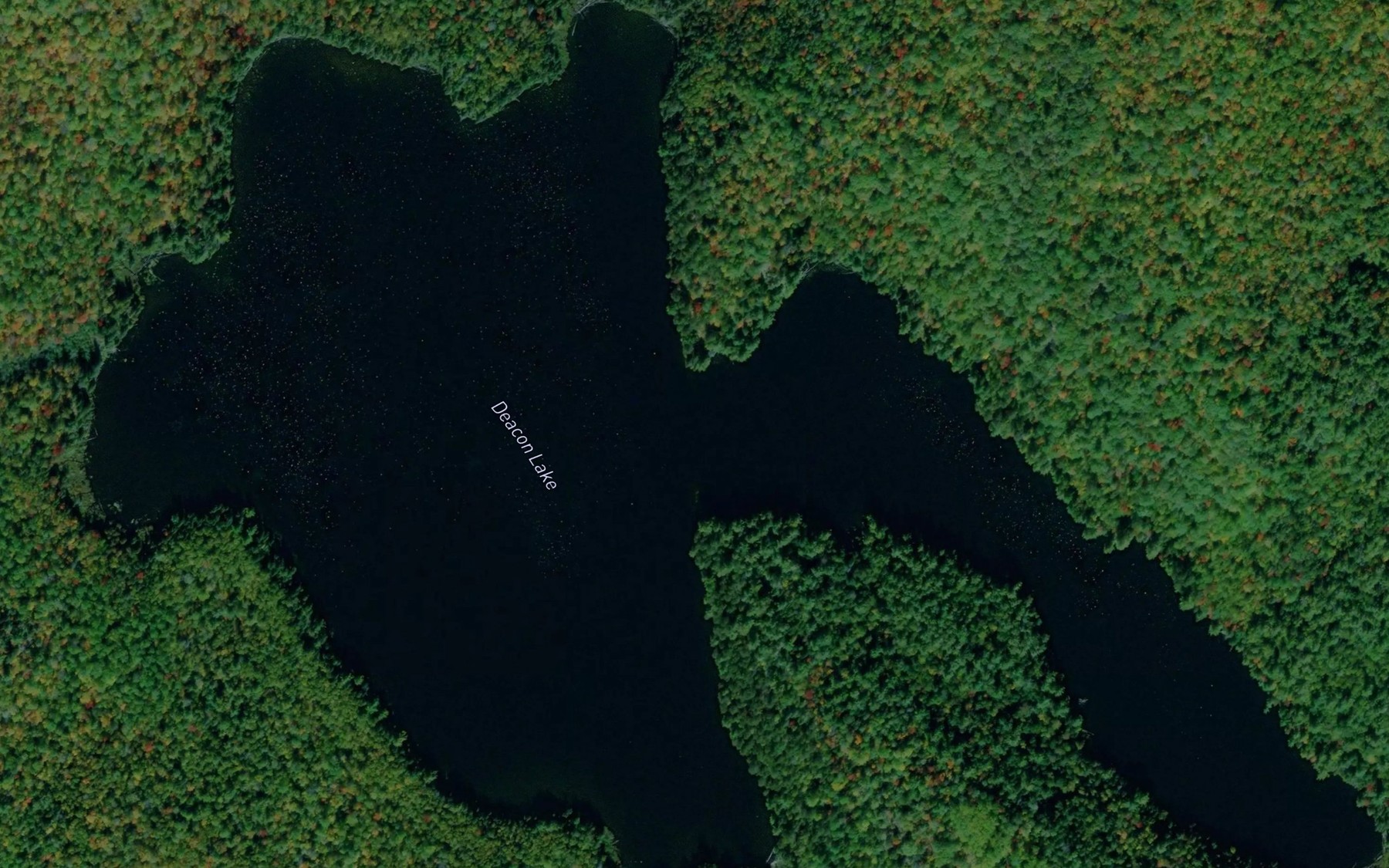 Satellite map of the Deacon Lake