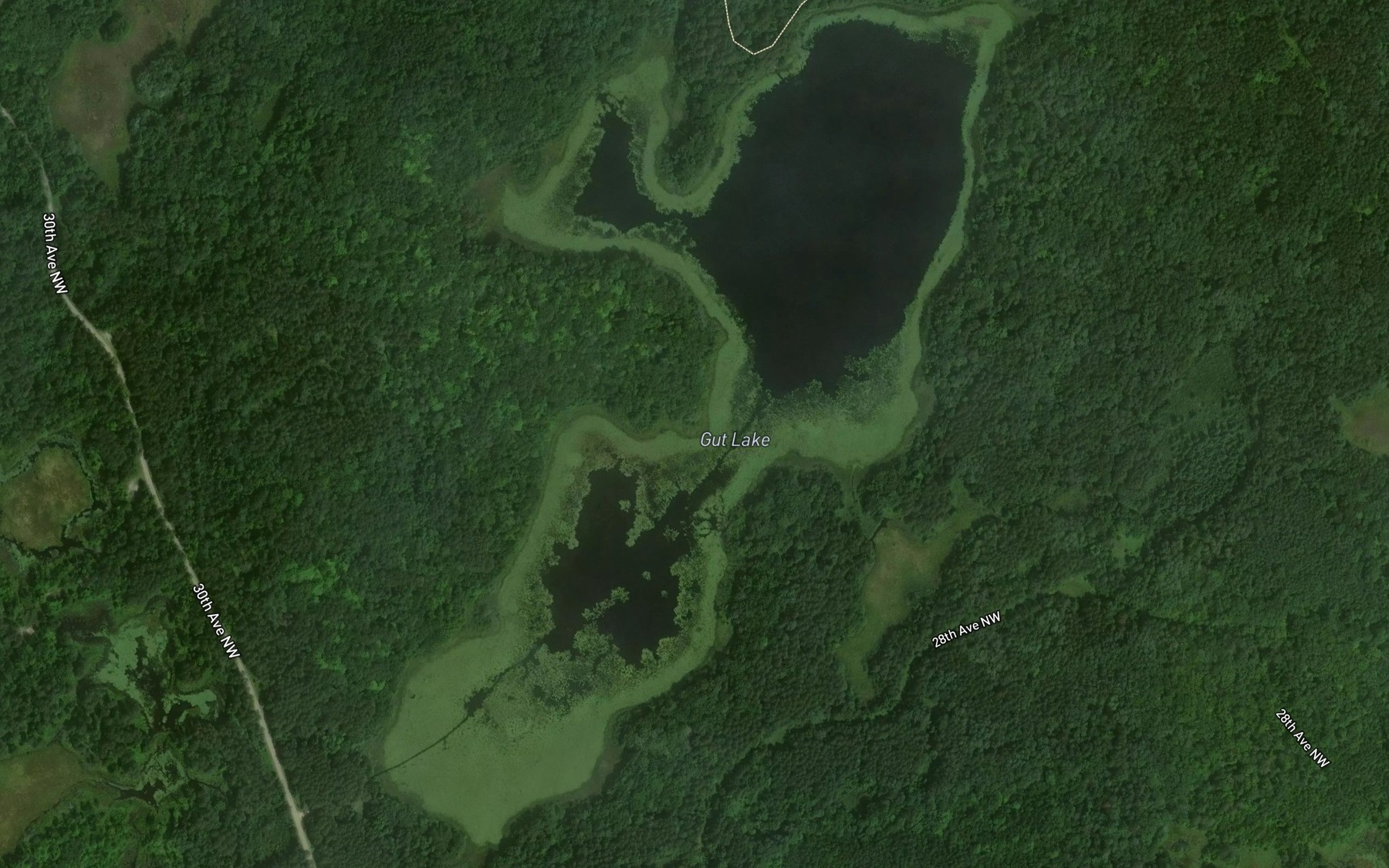 Satellite map of the Gut Lake