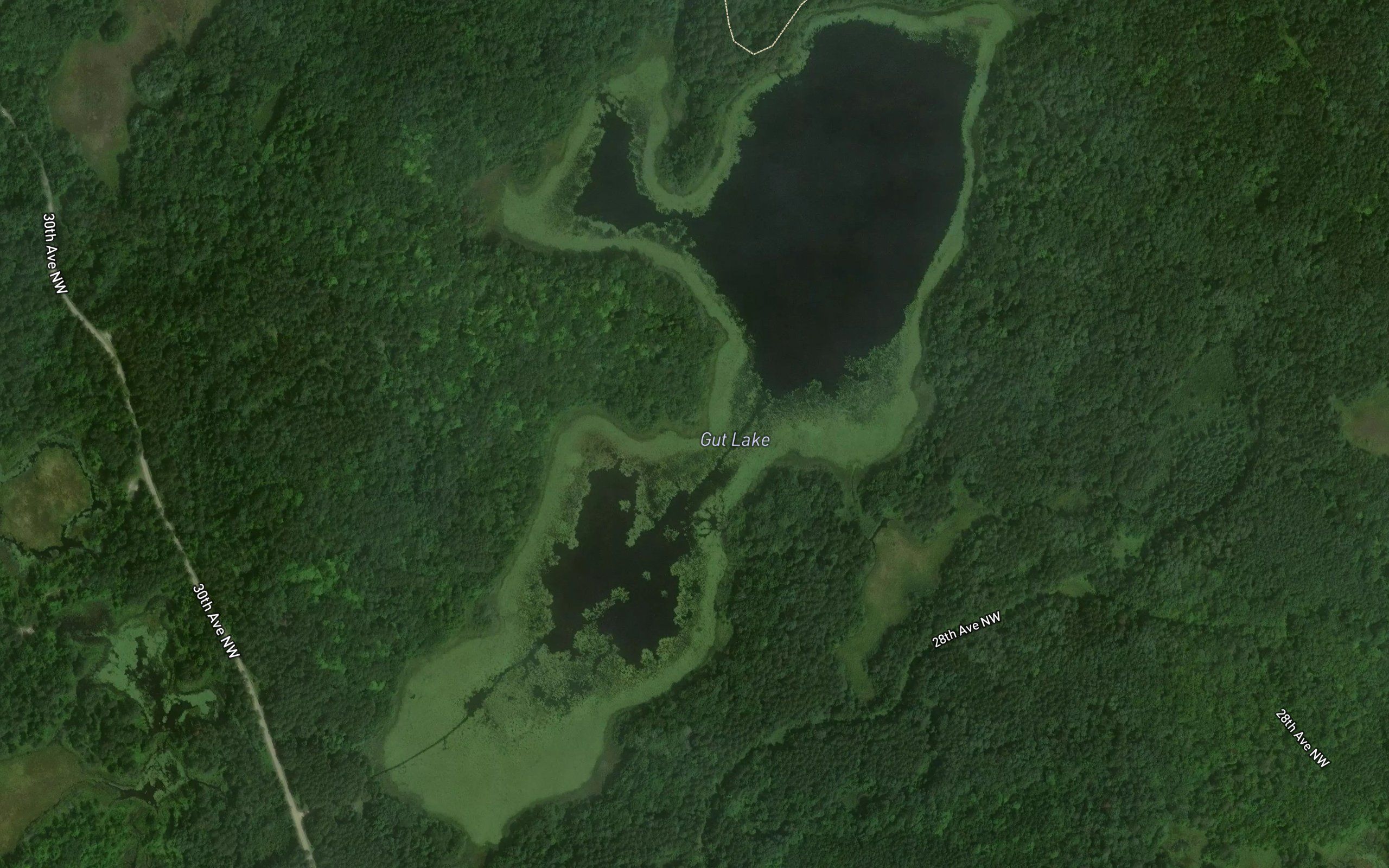 Gut Lake