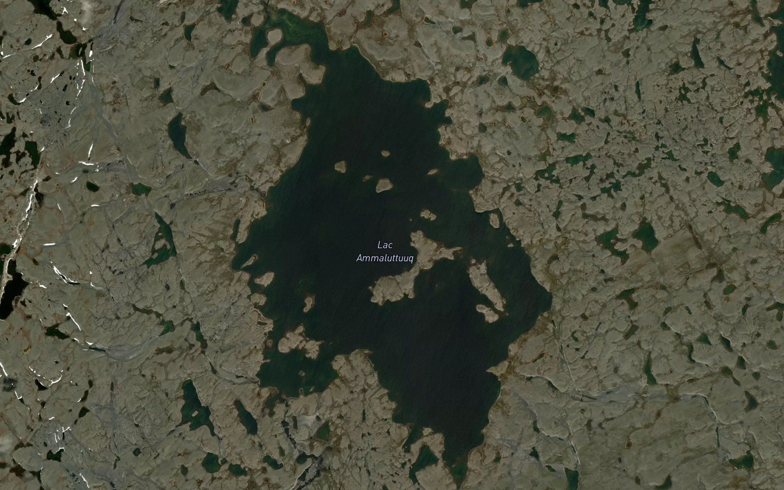 Lac Ammaluttuuq