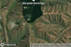 Coes Gully Creek Left Branch