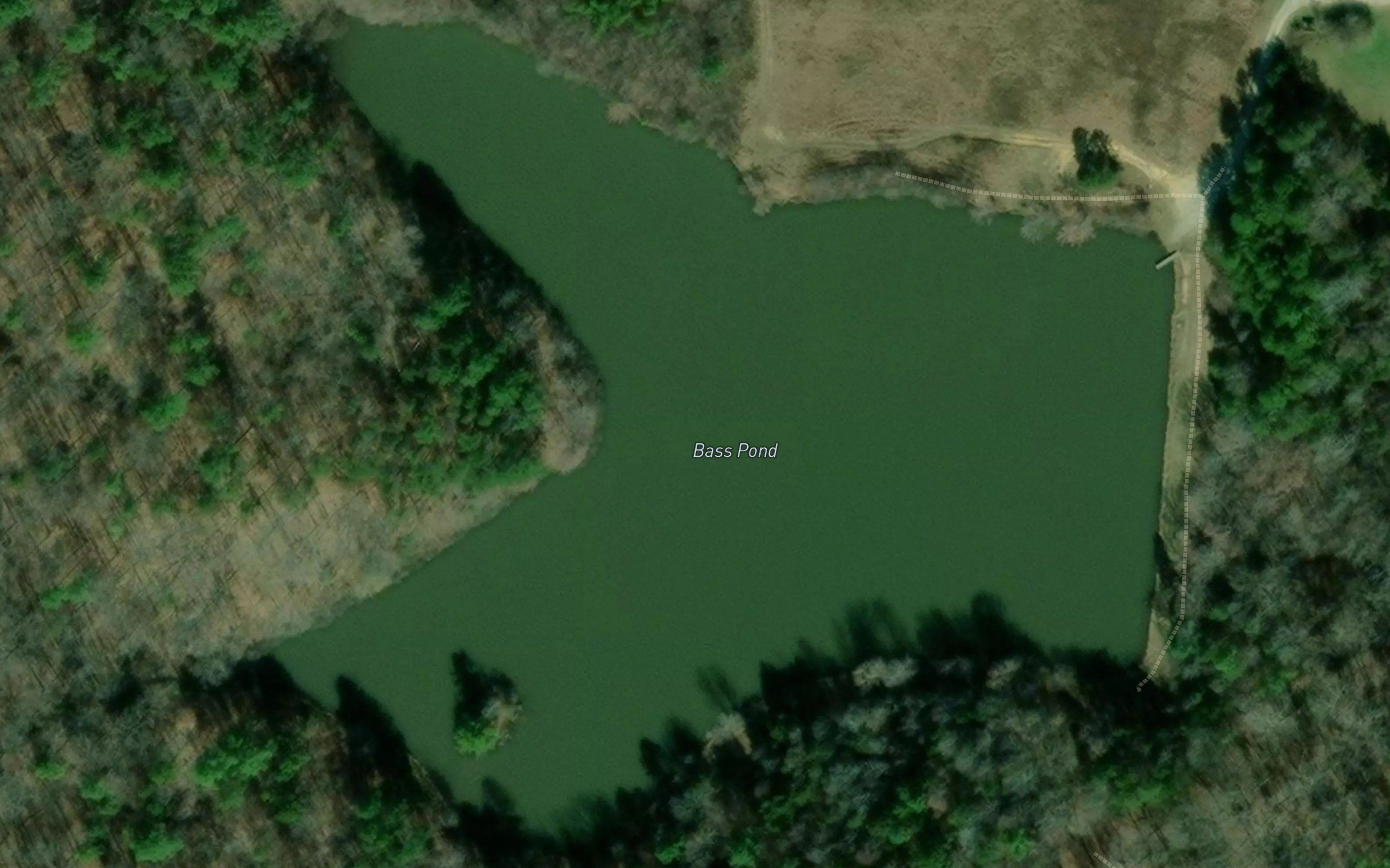 Bass Pond
