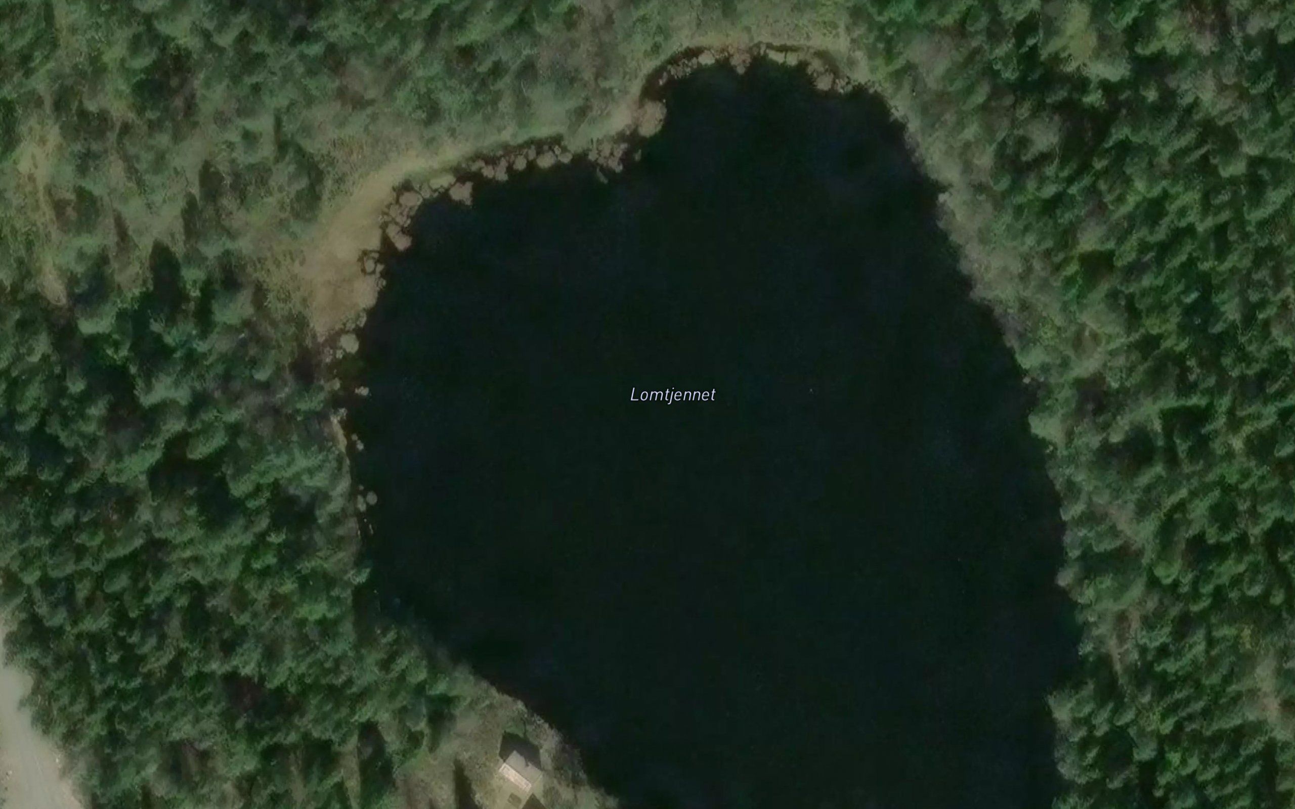 Lomtjenn