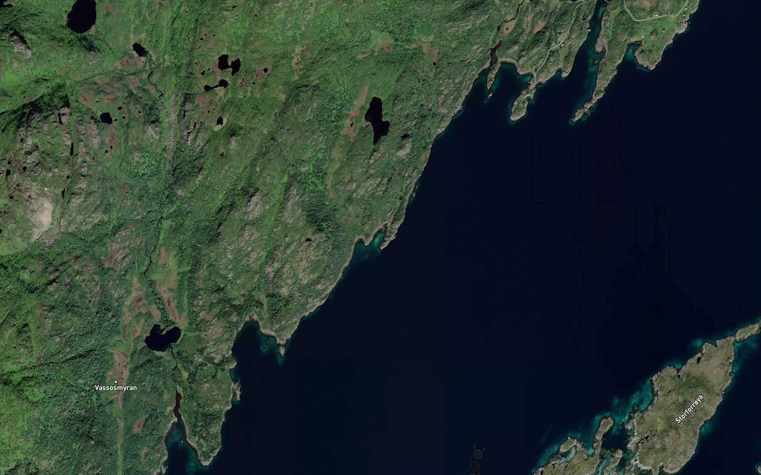 Hesjevika