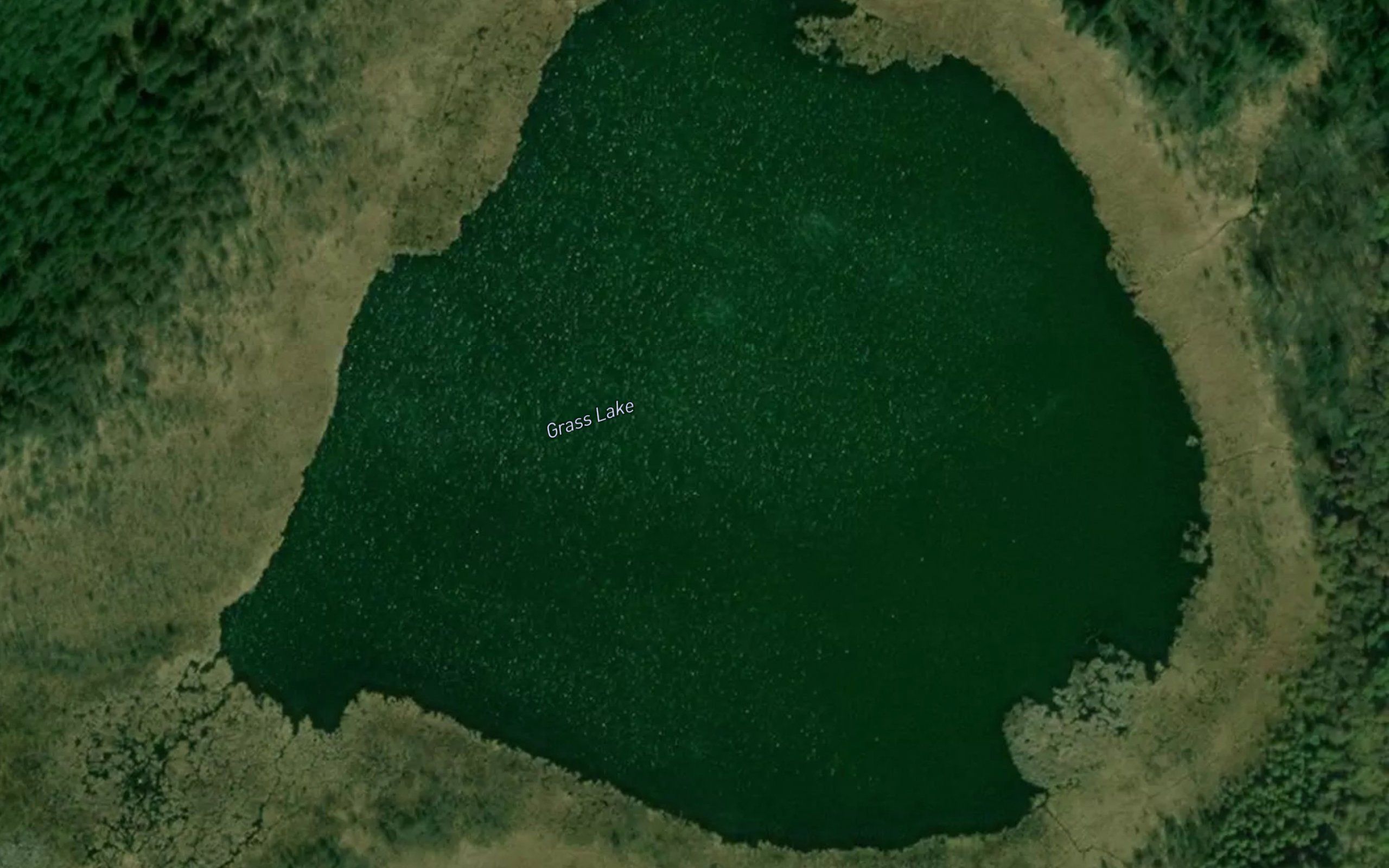 Grass Lake
