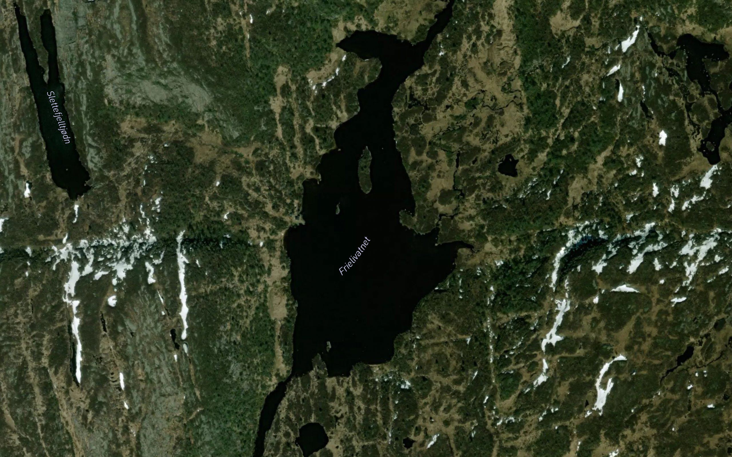 Frielivatnet