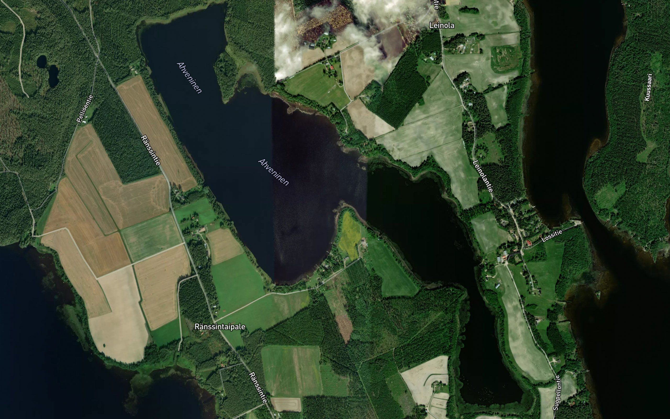 Ahveninen