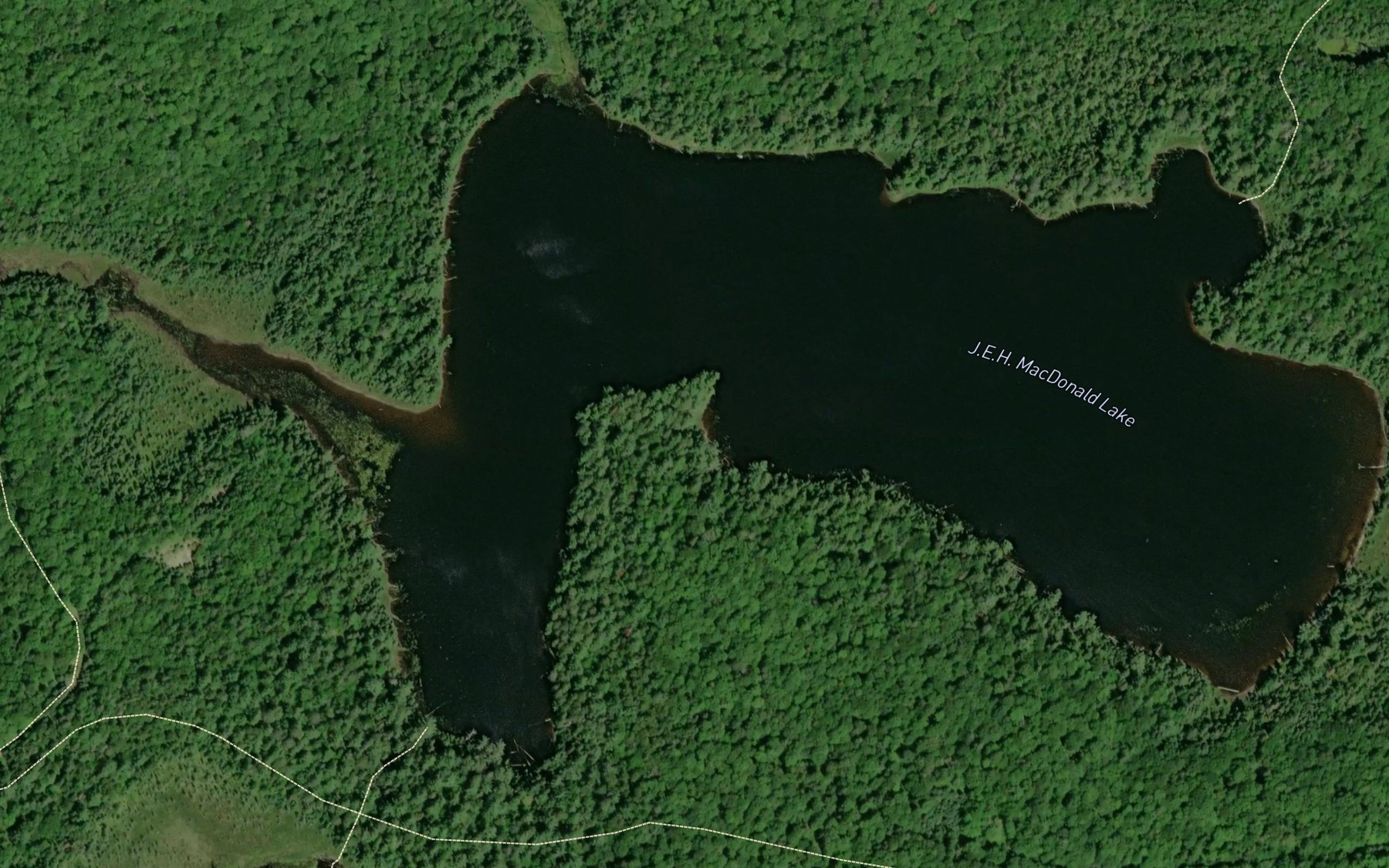Satellite map of the J.E.H. MacDonald Lake
