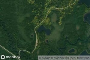 Lac Oleate