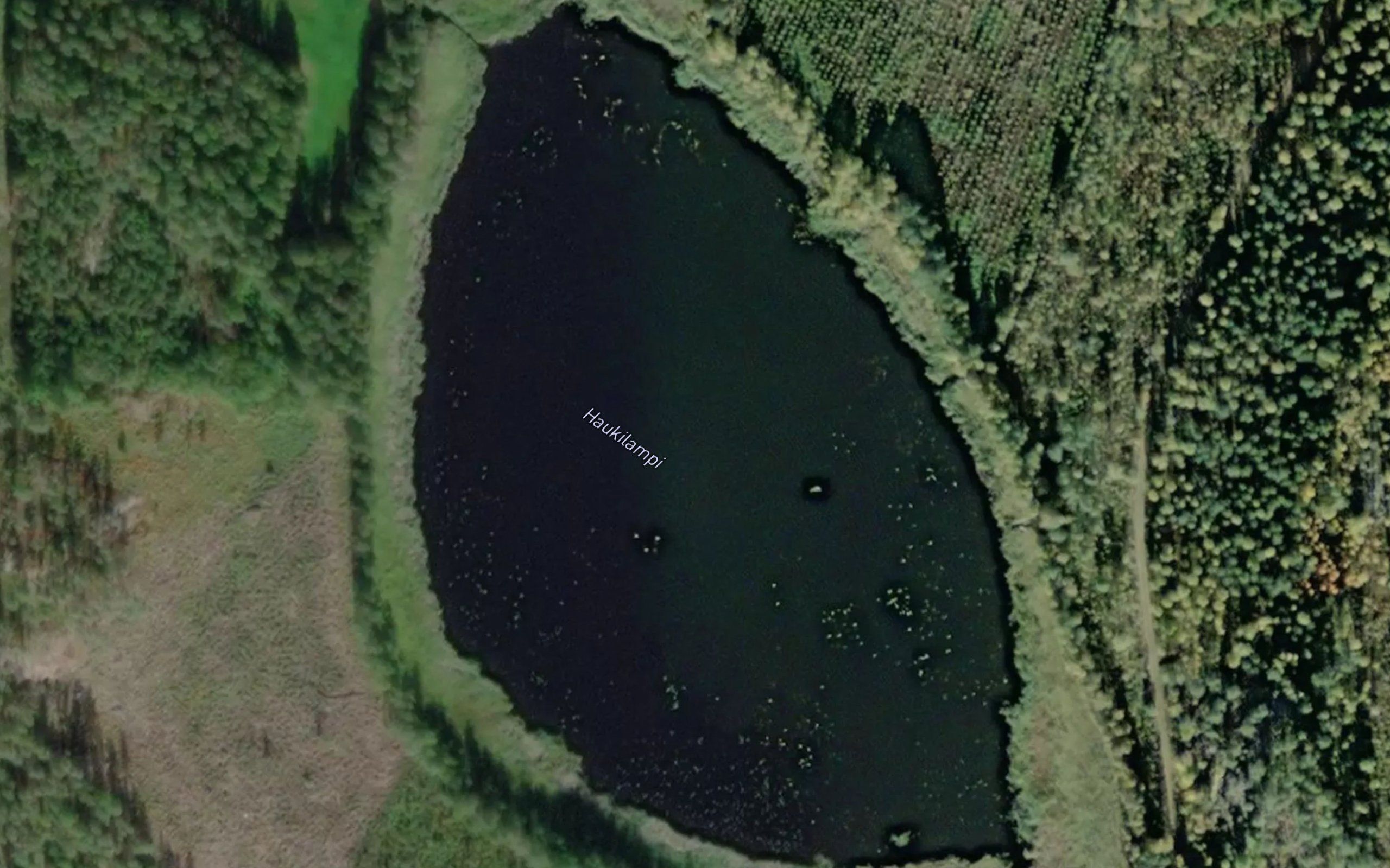 Haukilampi