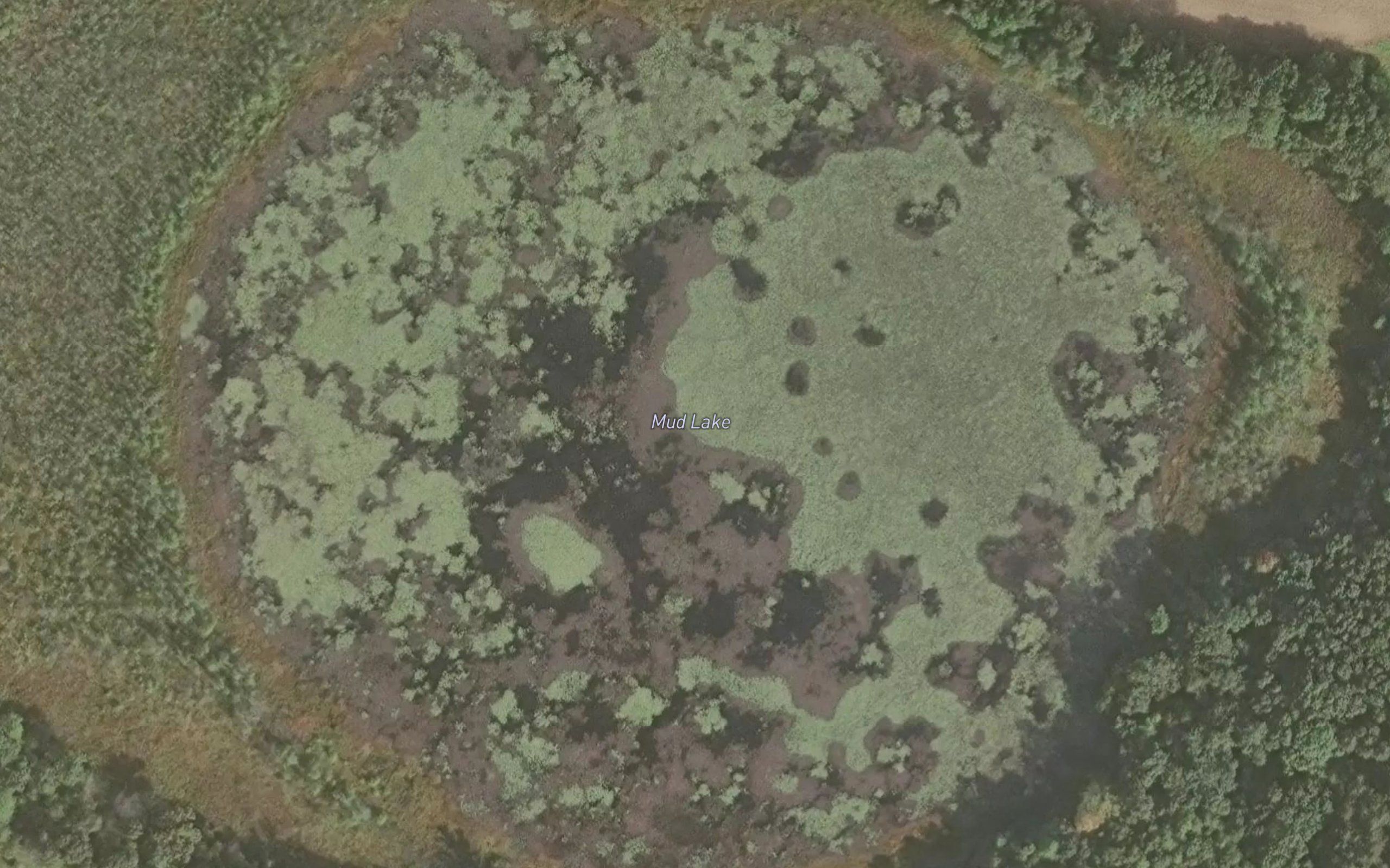 Mud Lake