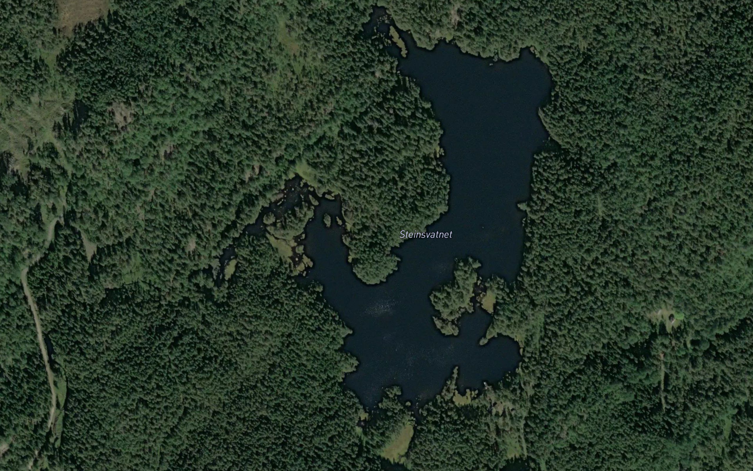 Steinsvatnet