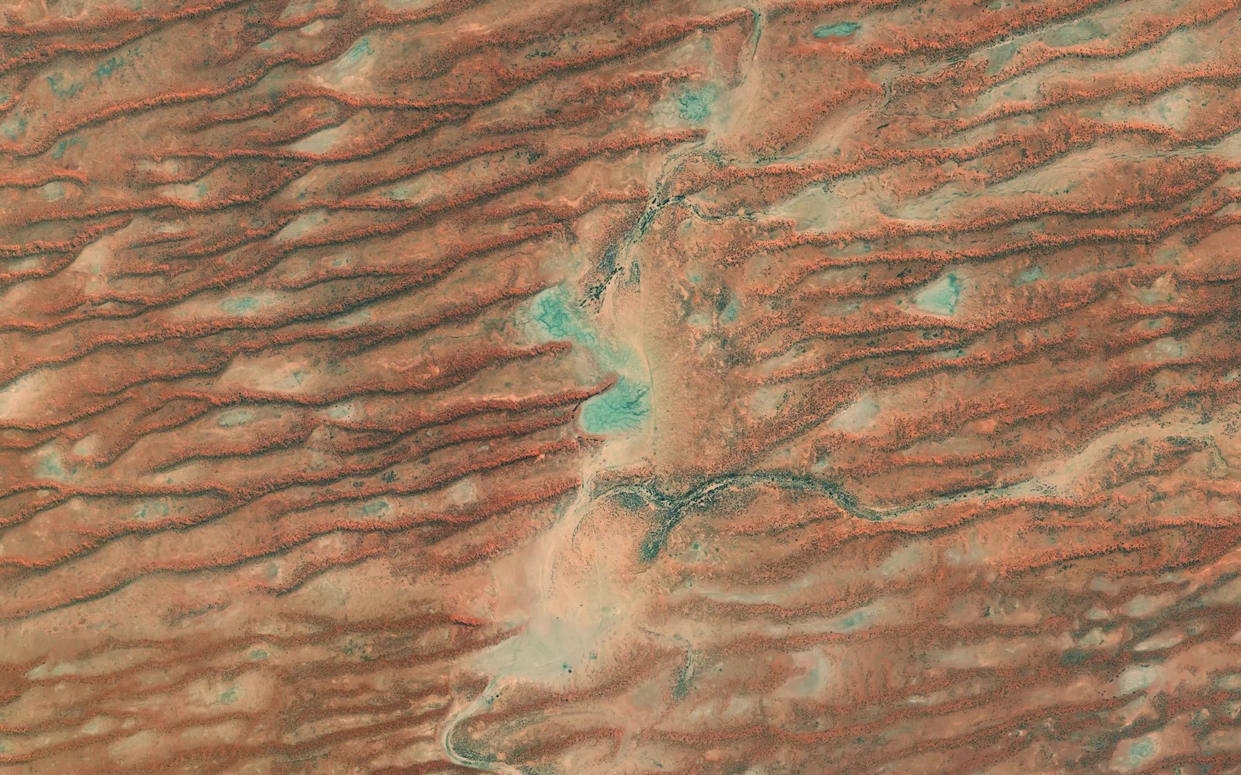 Satellite map of the Lake Womerrikoo