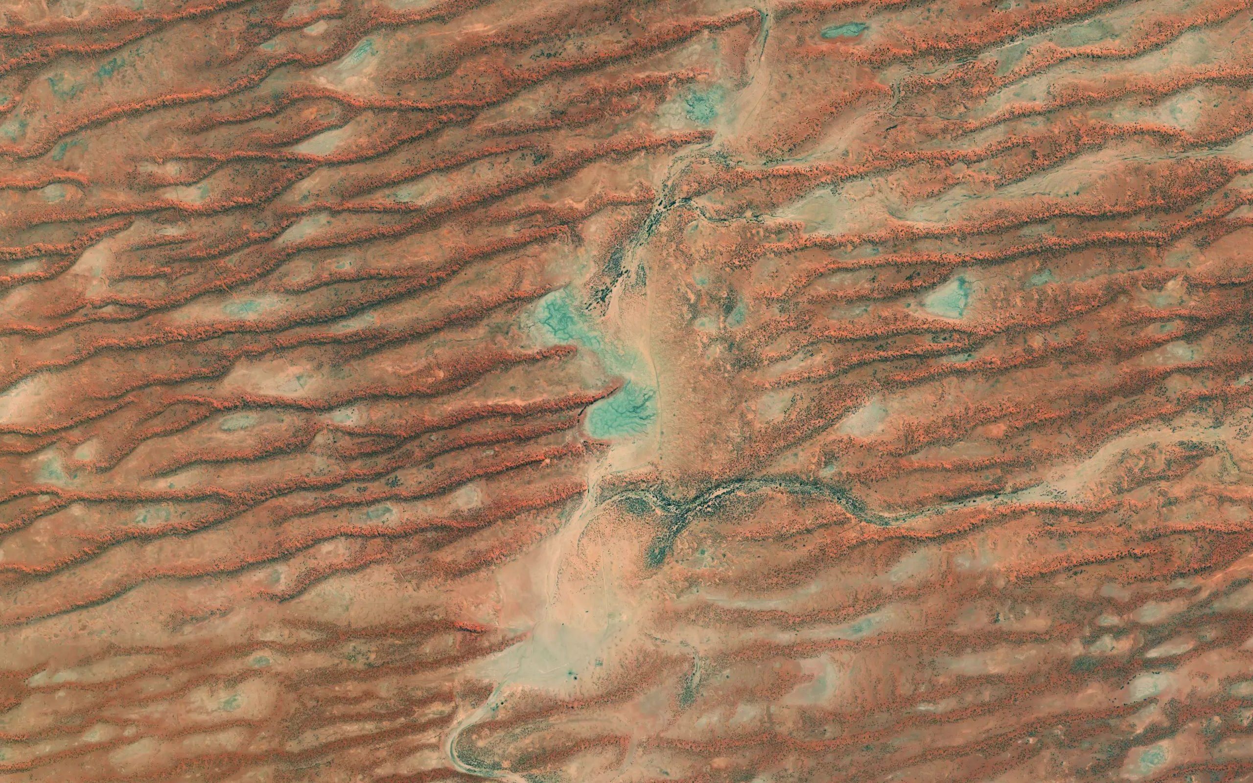 Lake Womerrikoo