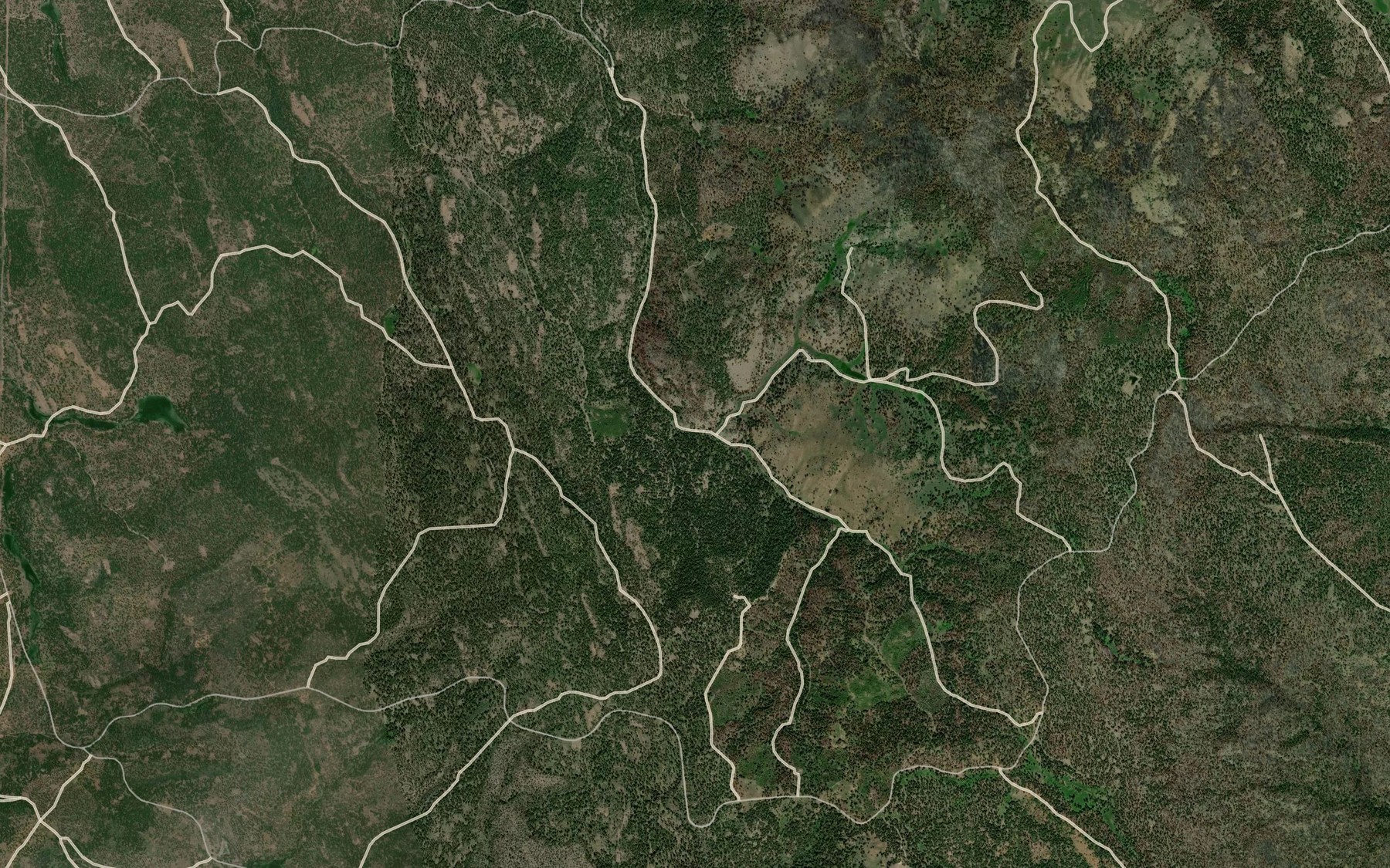 Satellite map of the Roach Creek