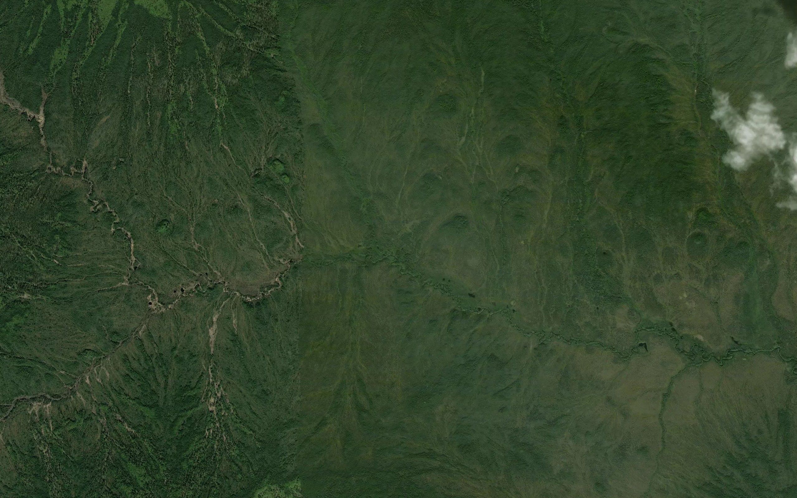 Grant Creek
