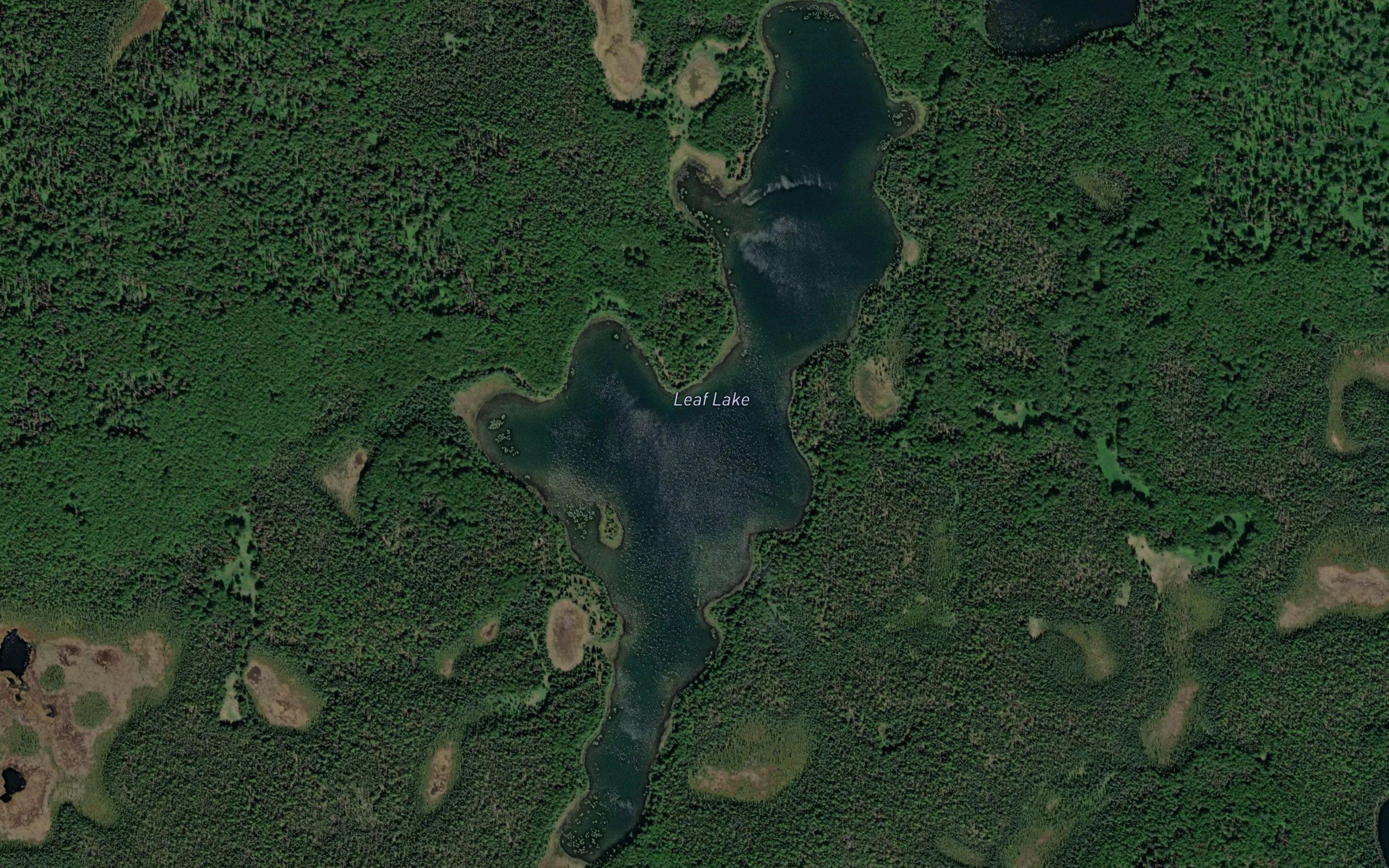 Leaf Lake