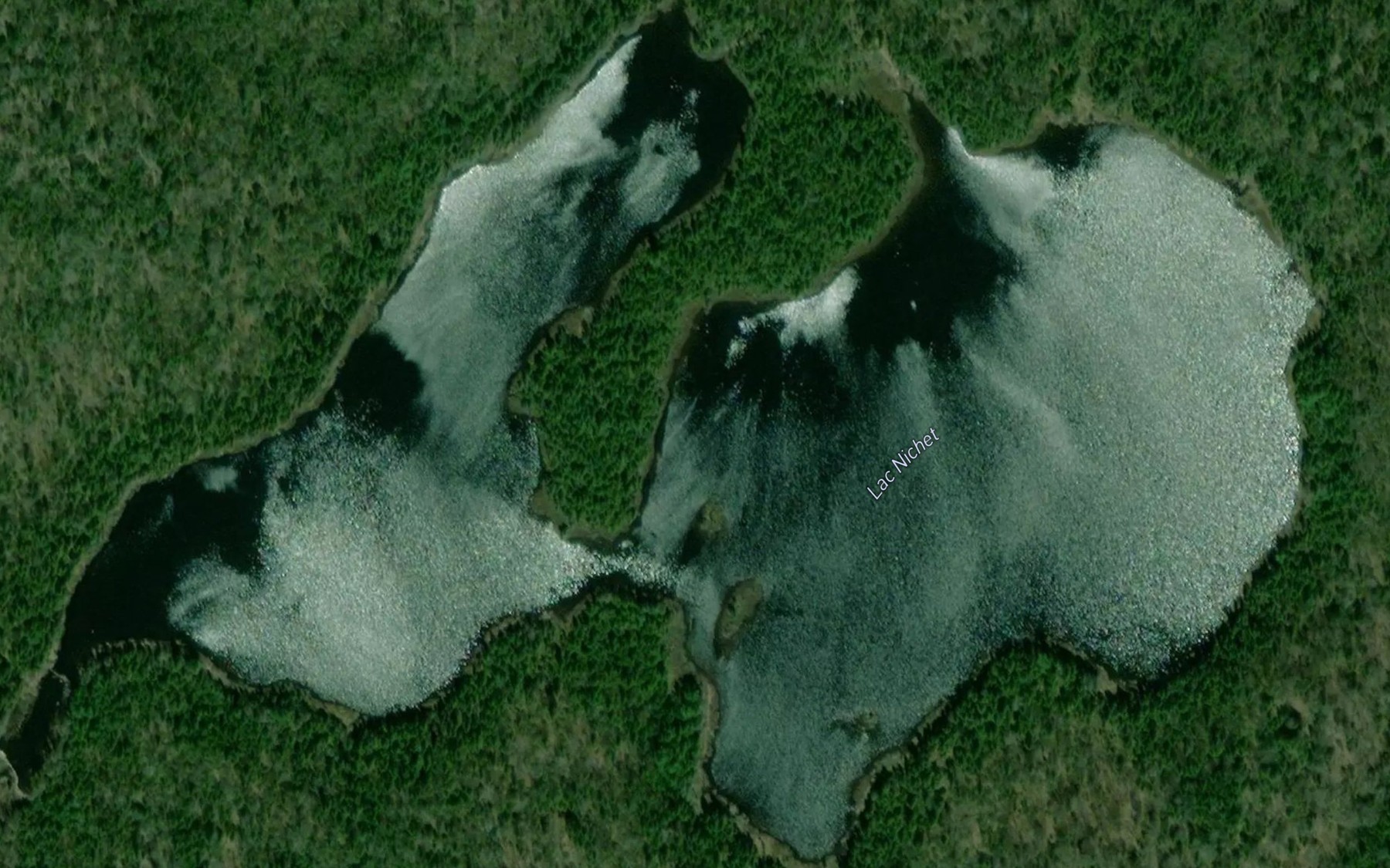 Satellite map of the Lac Nichet
