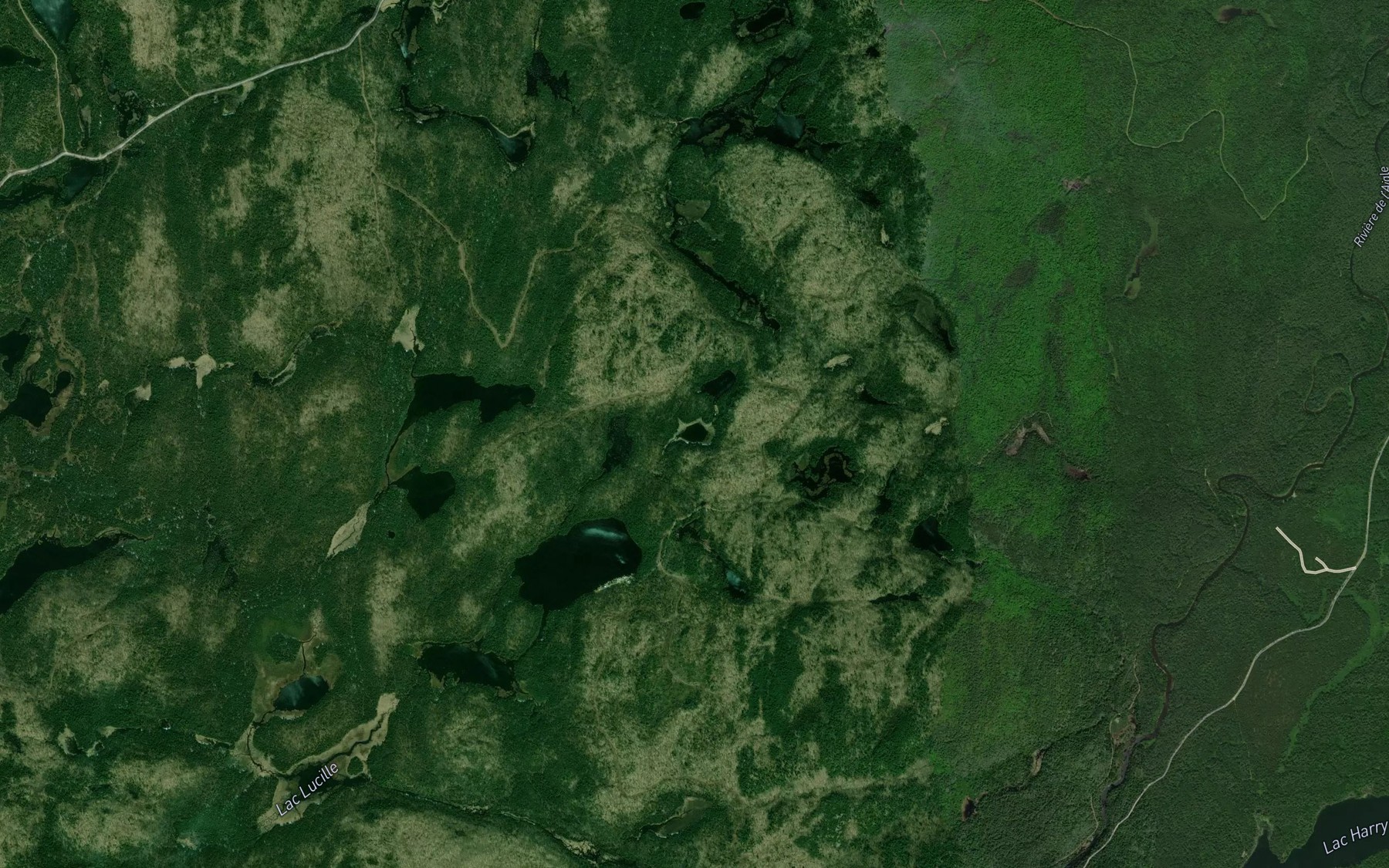 Satellite map of the Lac de l'Archeveque