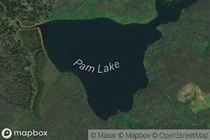 Pam Lake