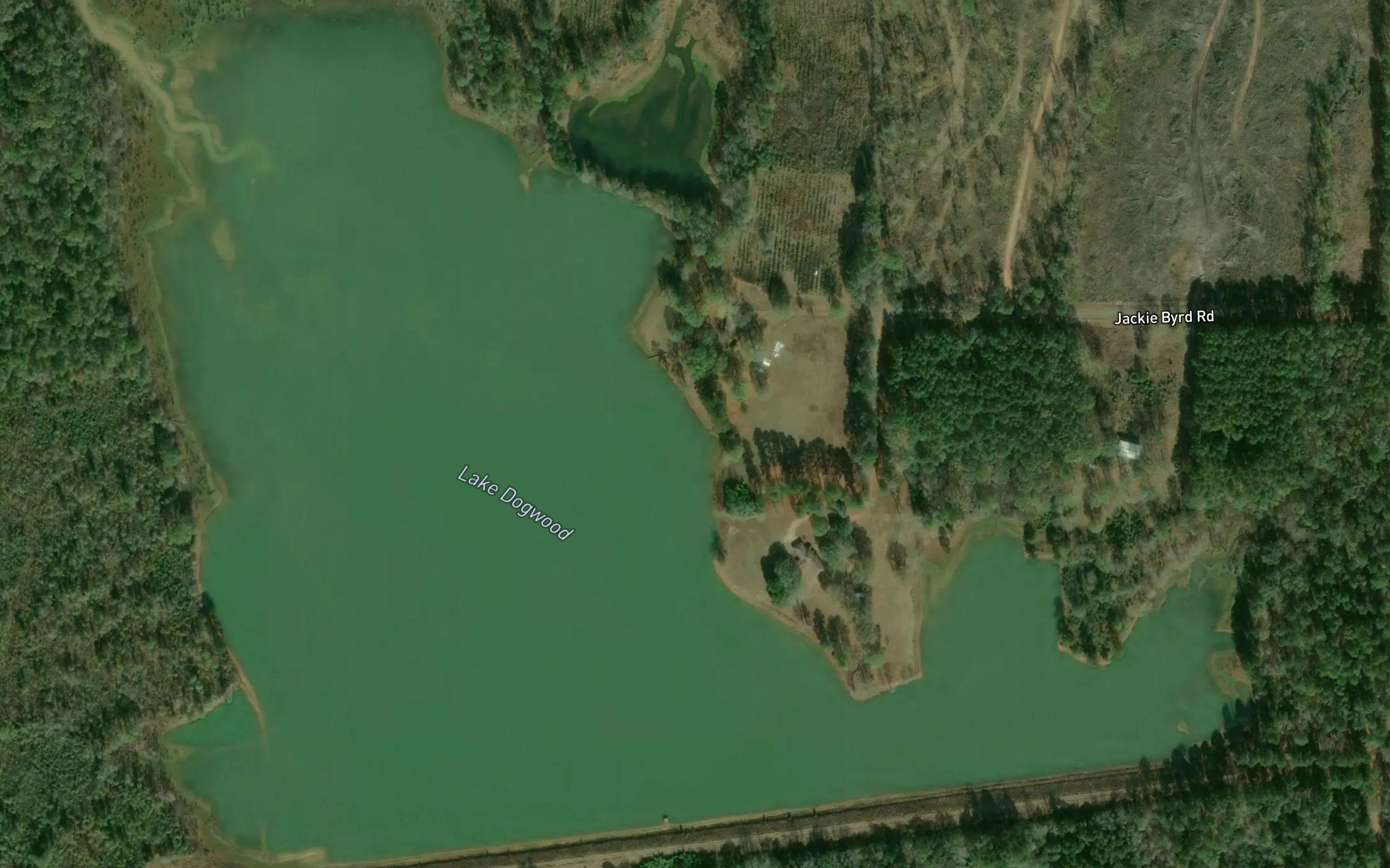 Lake Dogwood