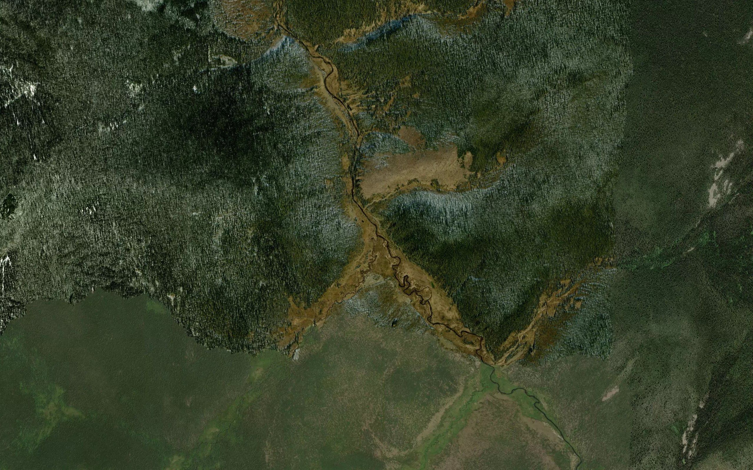 Kaltusnyy