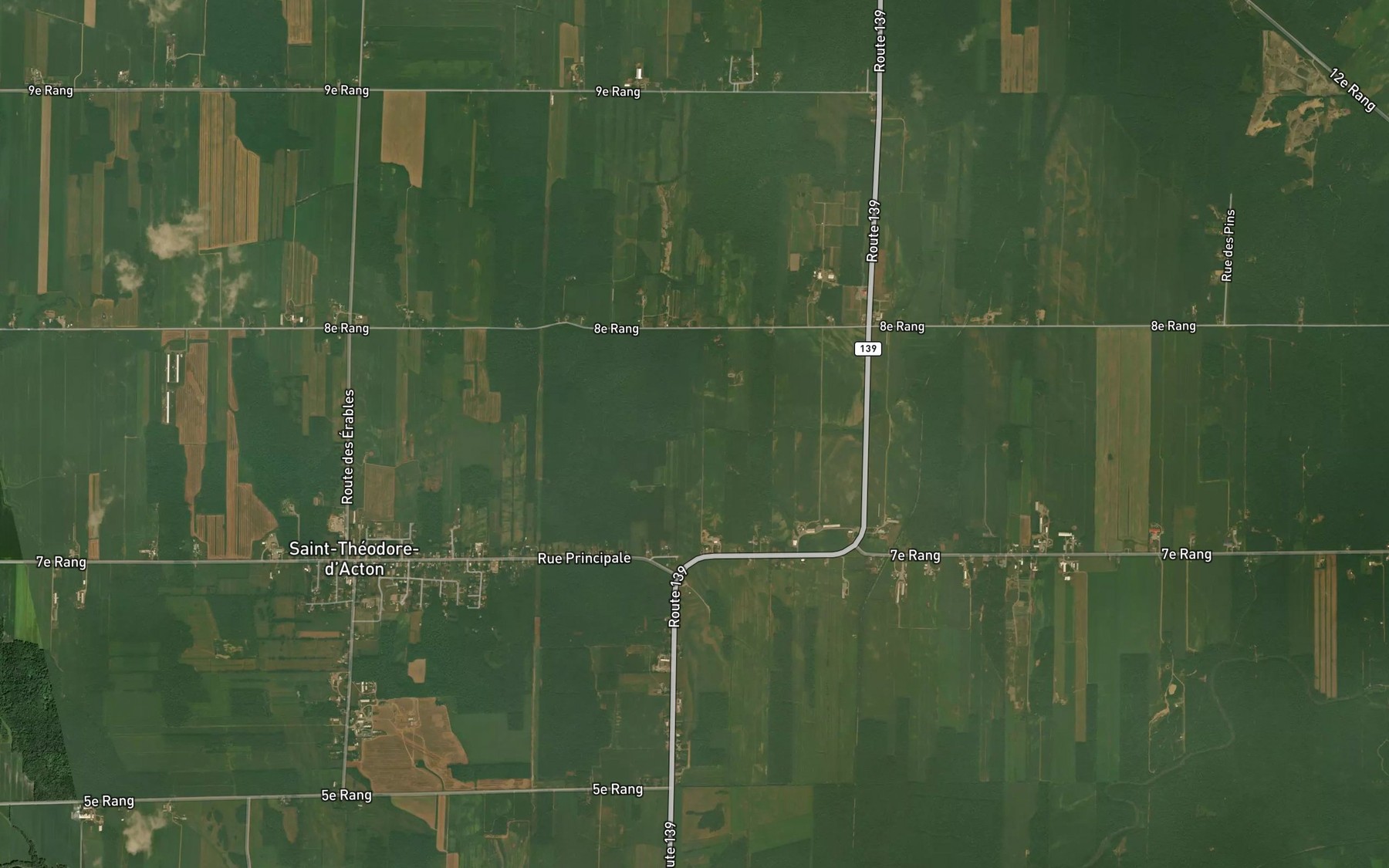 Satellite map of the Le Petit Bras