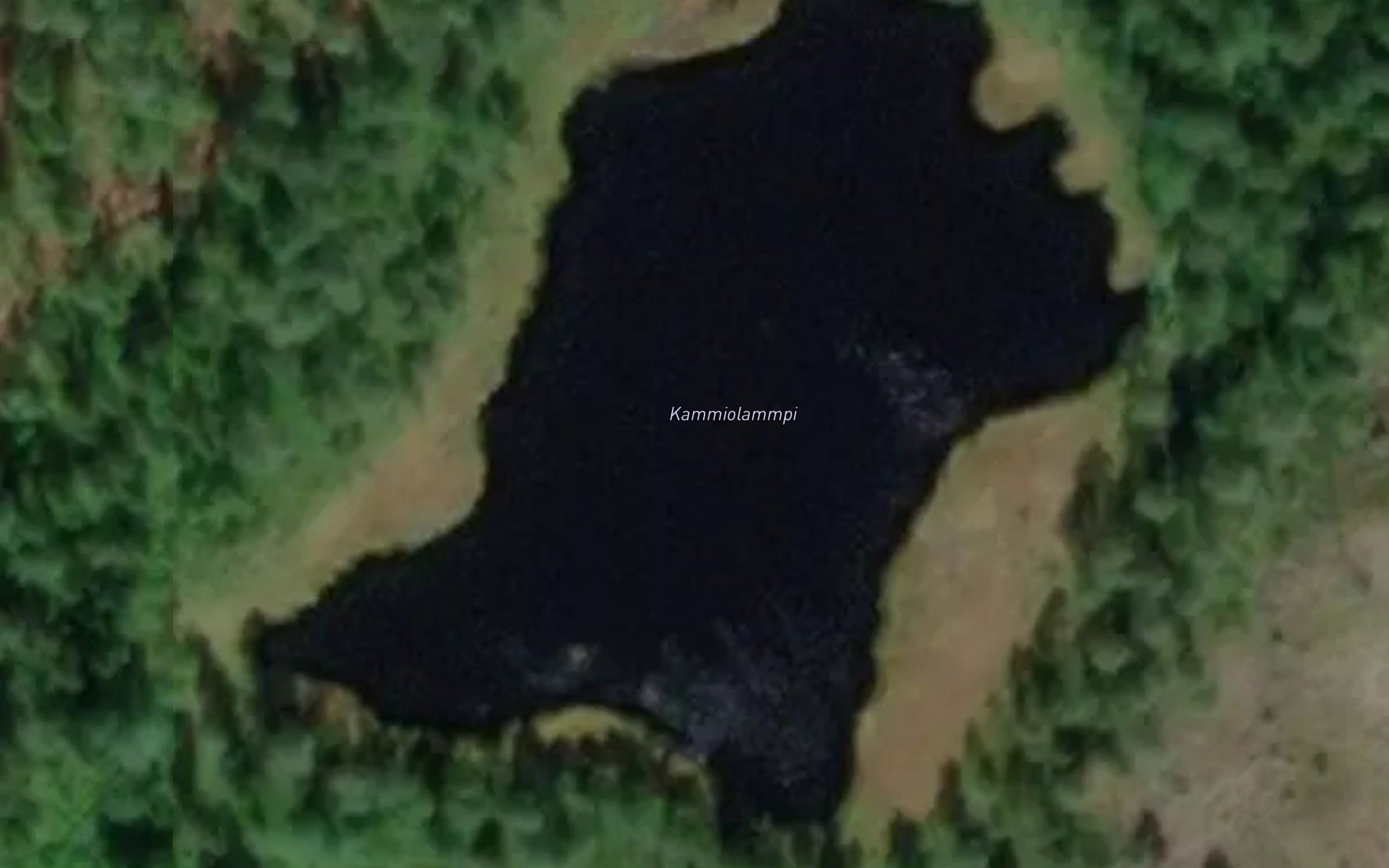 Kammiolammi