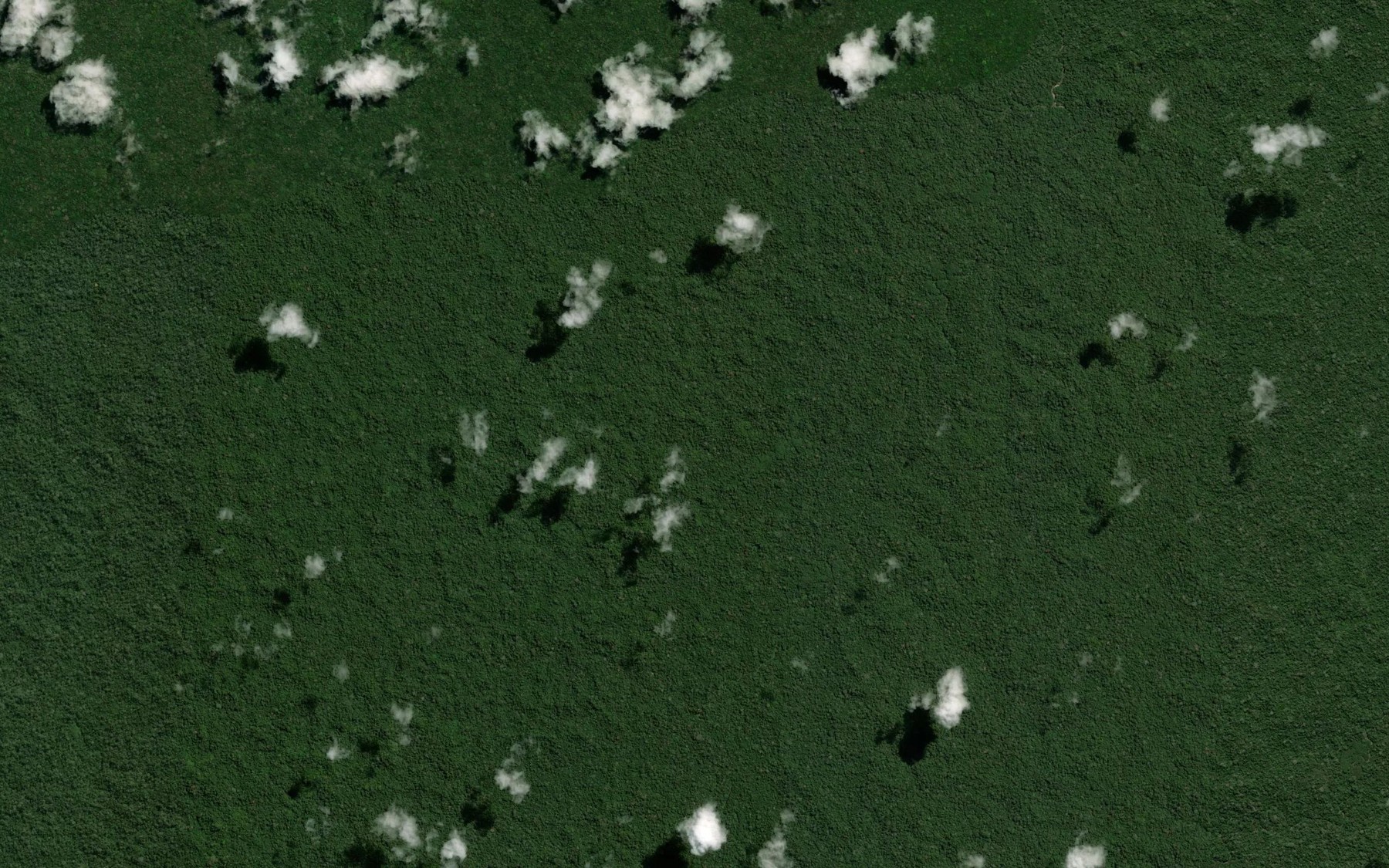 Satellite map of the Quebrada Yaguanico