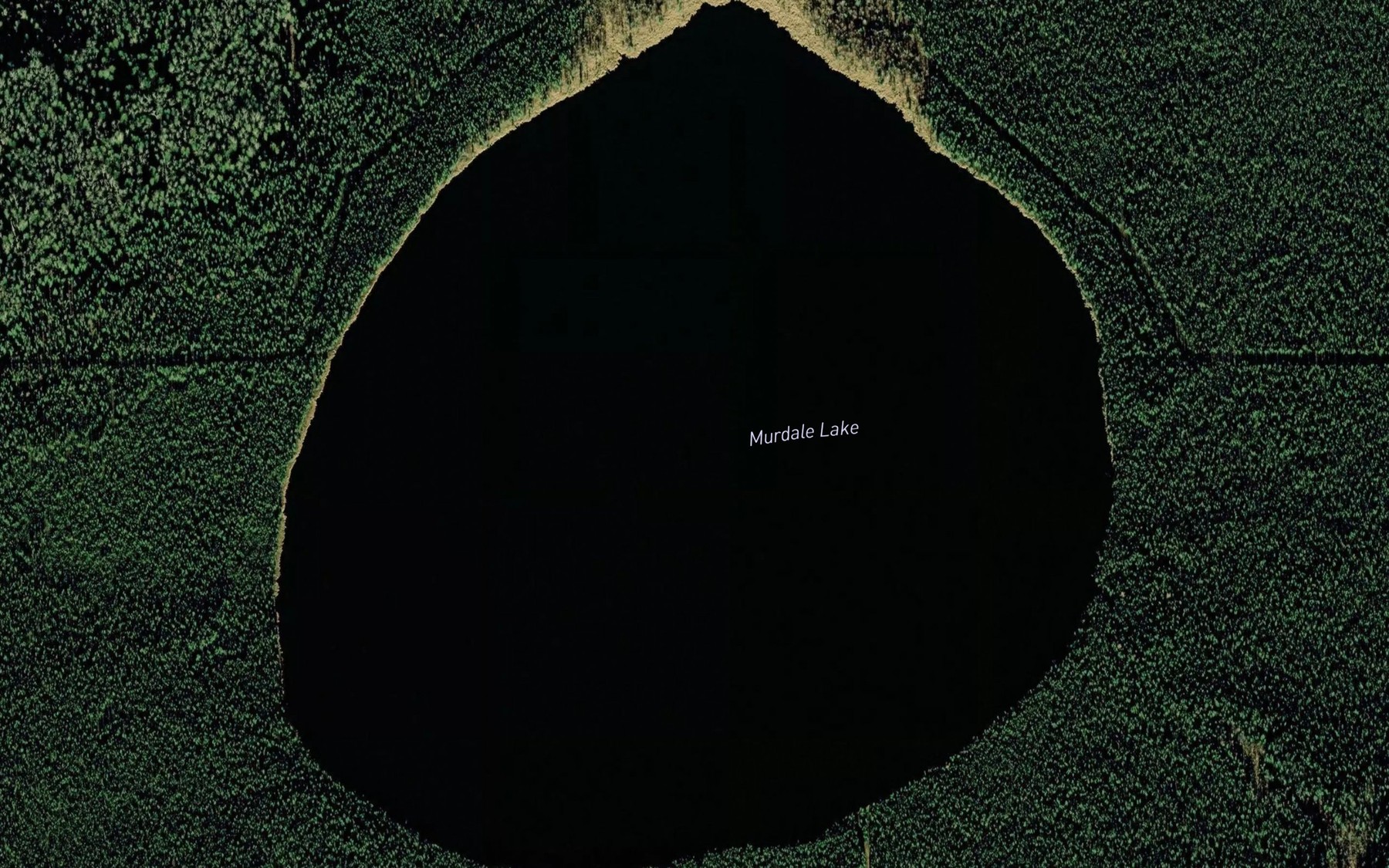 Satellite map of the Murdale Lake